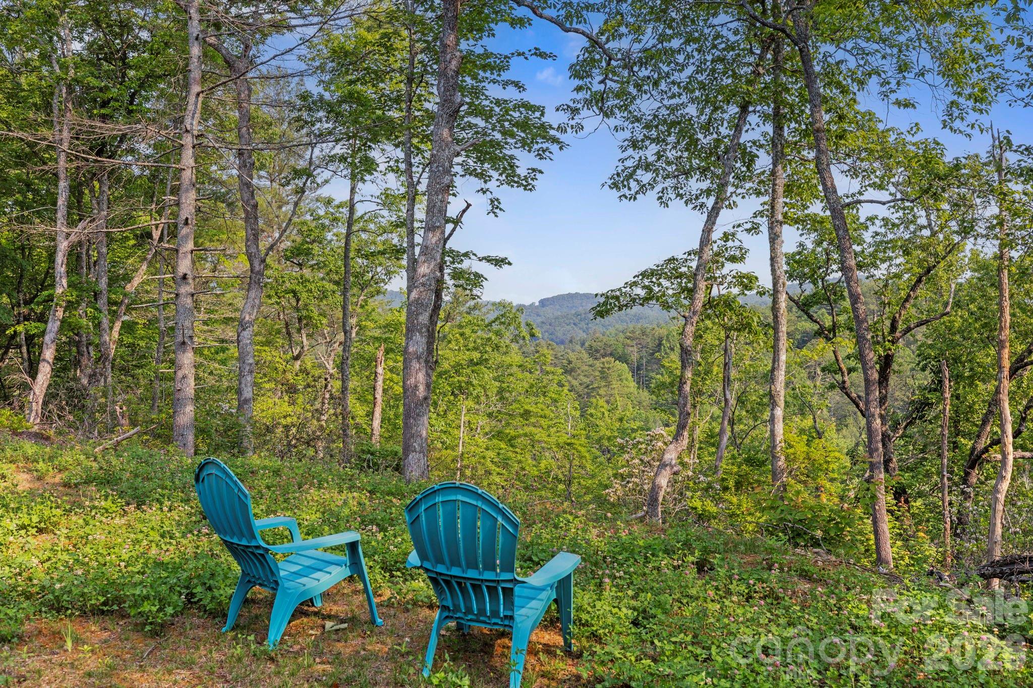 Acreage at 251 Paul McCoy Road, Lake Toxaway, photo 2 of 14
