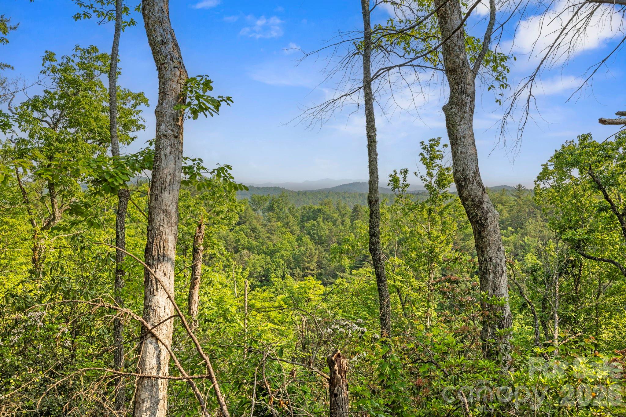 Acreage at 251 Paul McCoy Road, Lake Toxaway, photo 7 of 14