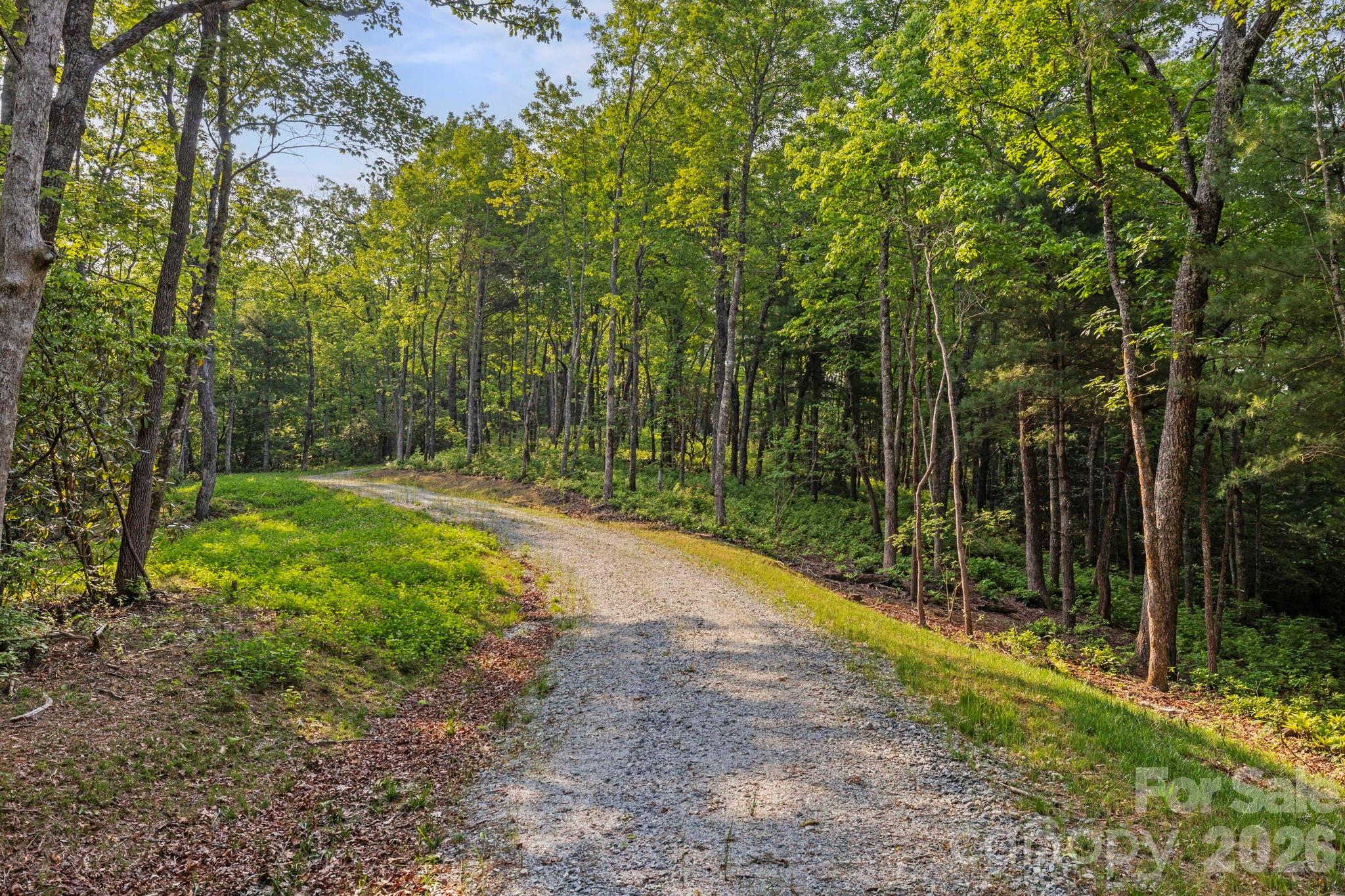 Acreage at 251 Paul McCoy Road, Lake Toxaway, photo 8 of 14