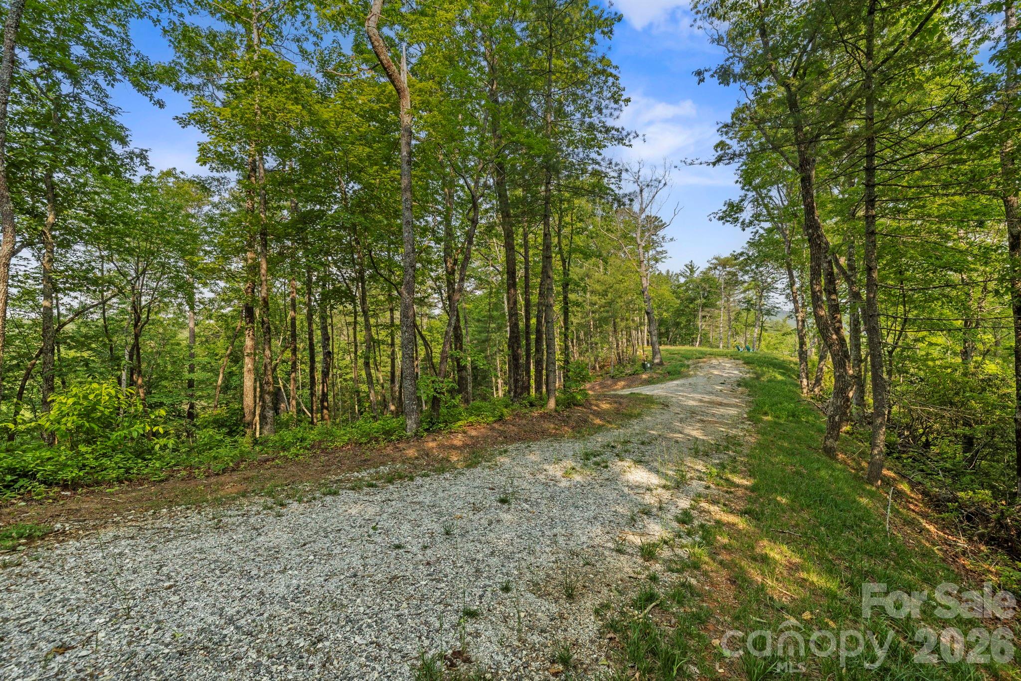 Acreage at 251 Paul McCoy Road, Lake Toxaway, photo 9 of 14