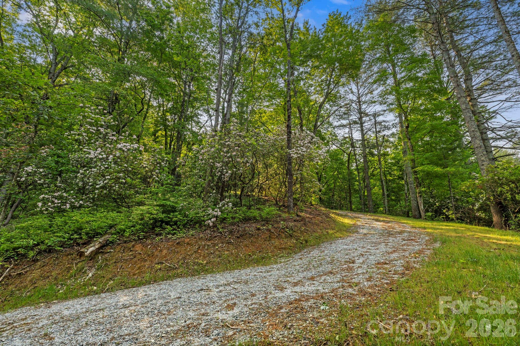 Acreage at 251 Paul McCoy Road, Lake Toxaway, photo 10 of 14