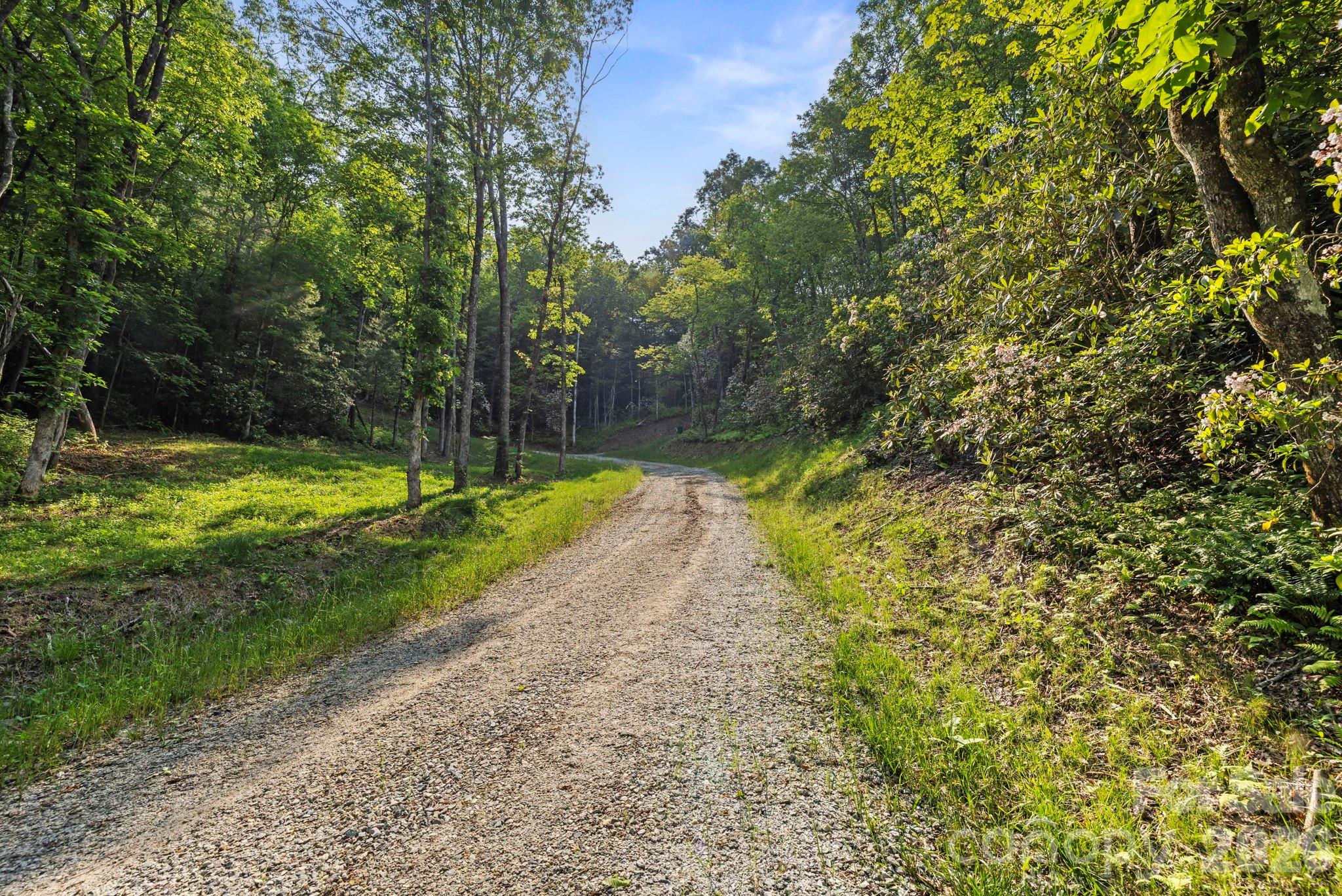 Acreage at 251 Paul McCoy Road, Lake Toxaway, photo 11 of 14
