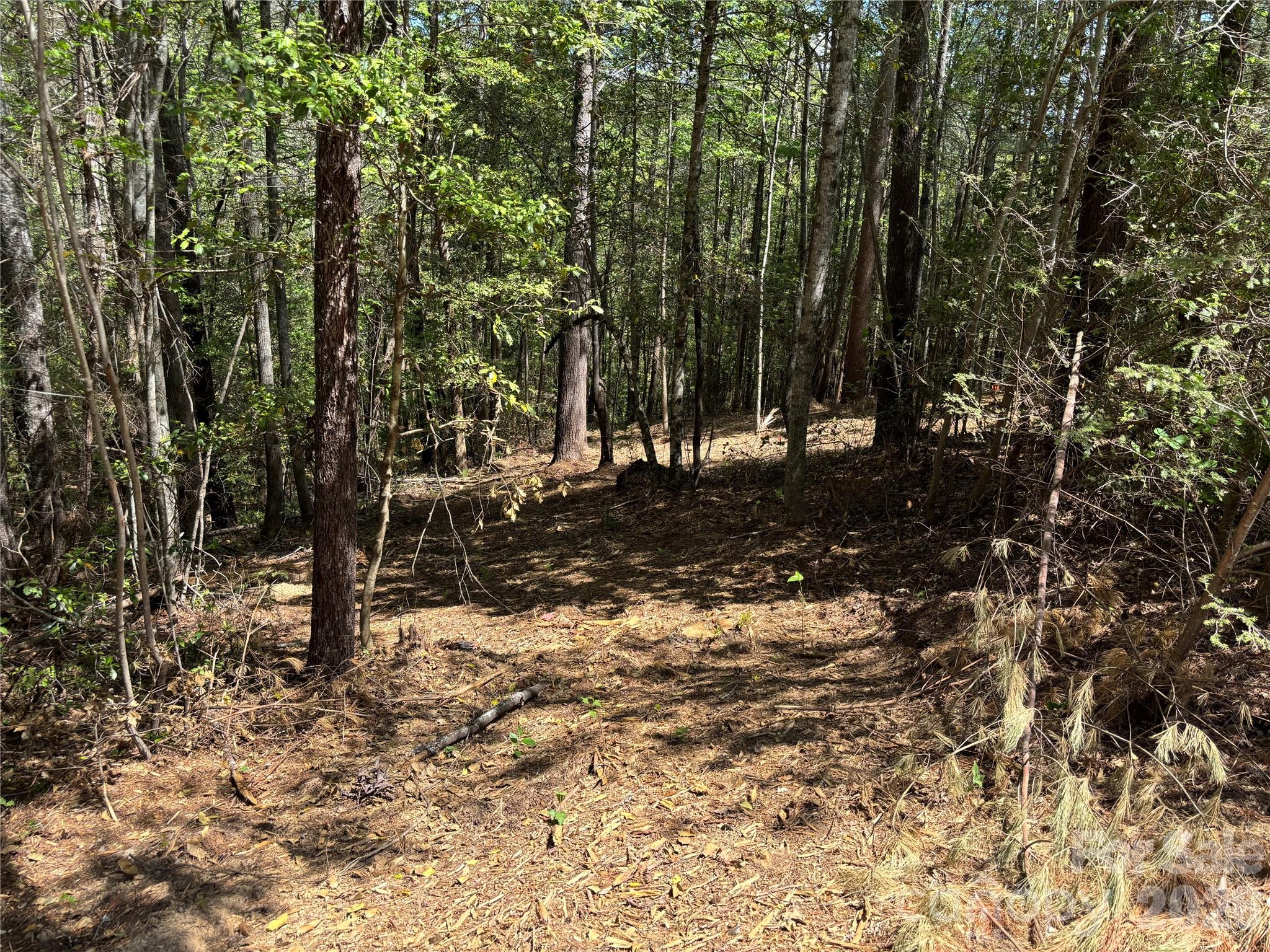 Lot at 1665 Round Mountain Parkway, Lenoir, photo 2 of 22