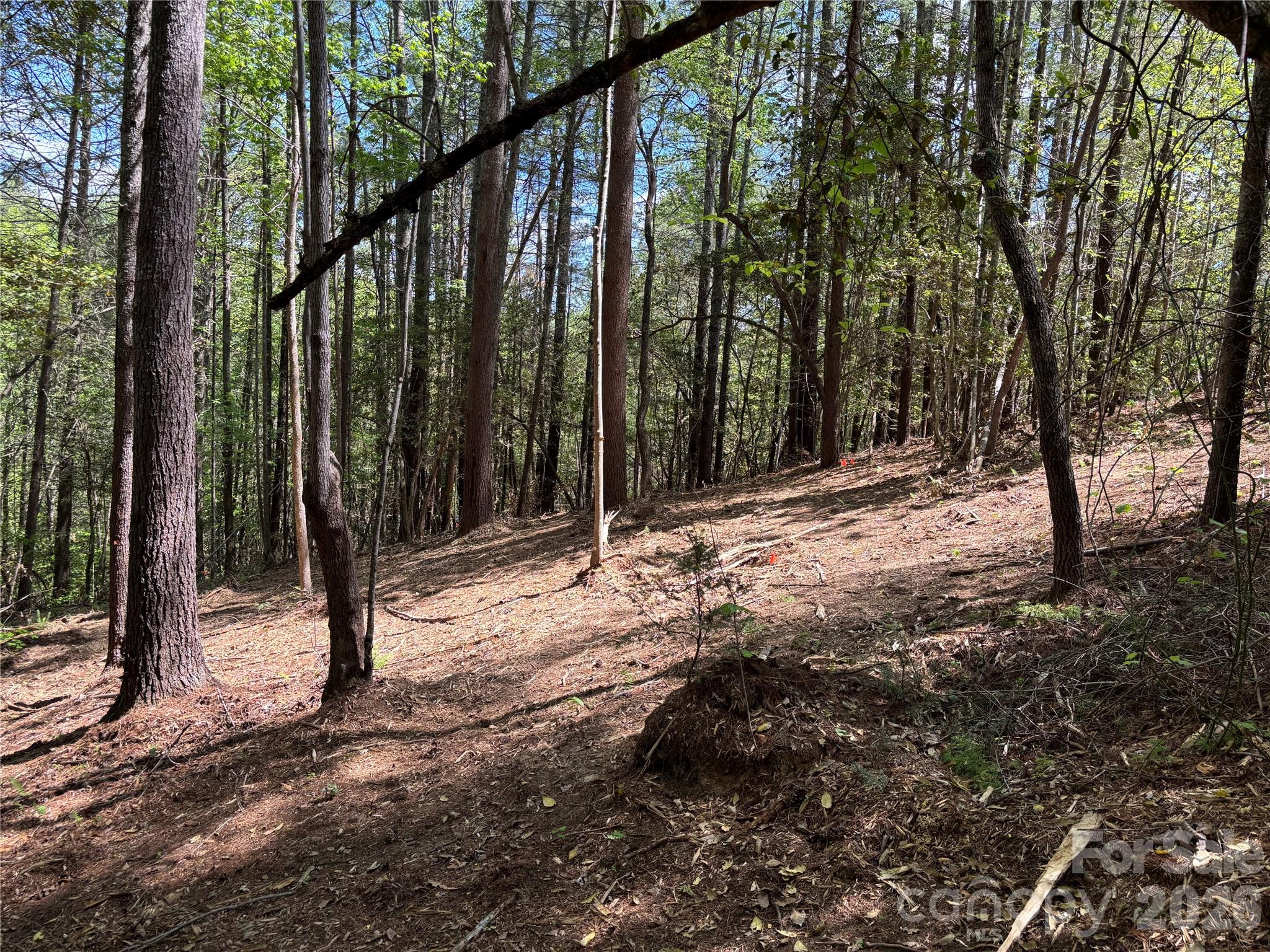 Lot at 1665 Round Mountain Parkway, Lenoir, photo 3 of 22