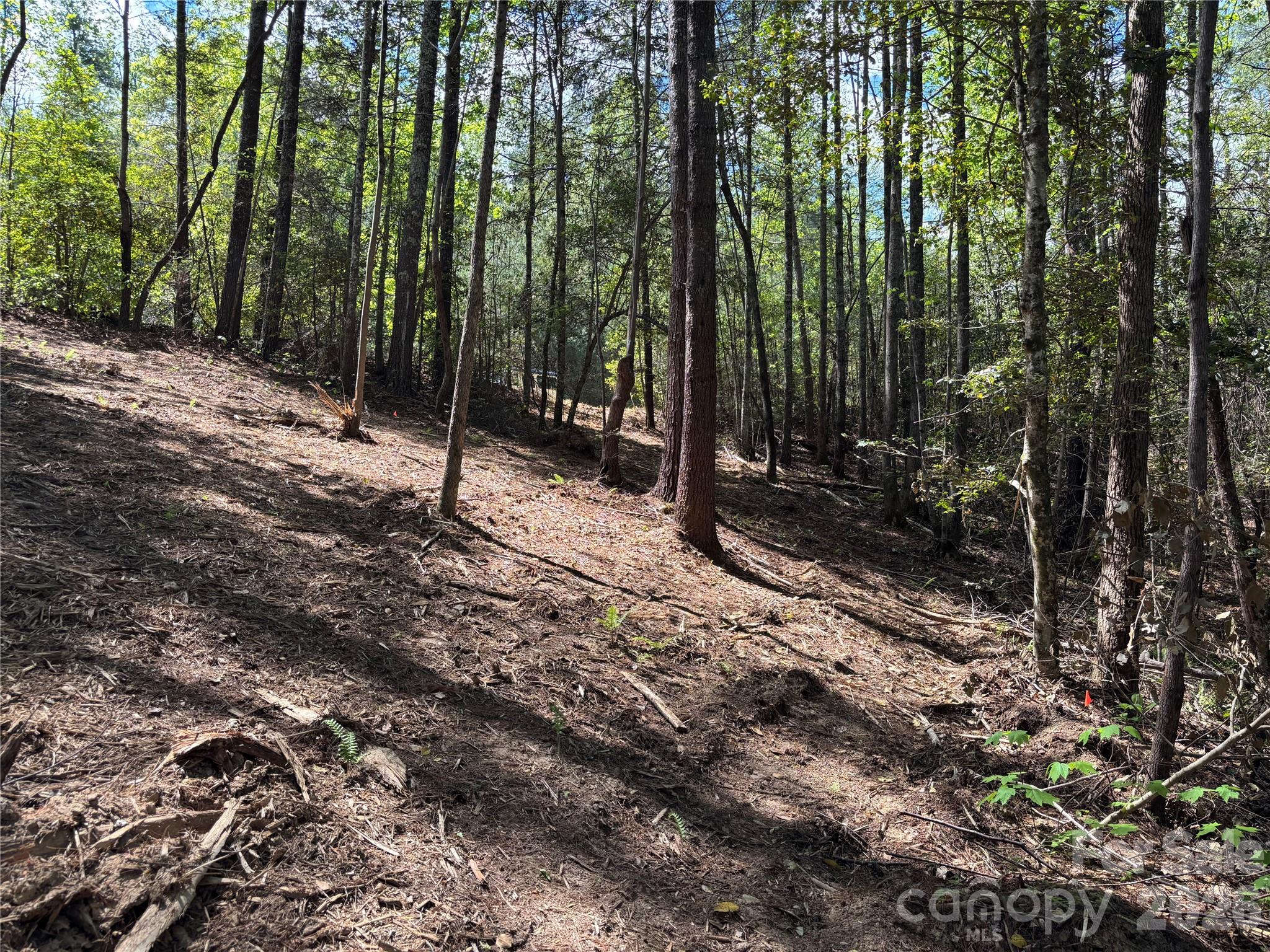 Lot at 1665 Round Mountain Parkway, Lenoir, photo 4 of 22