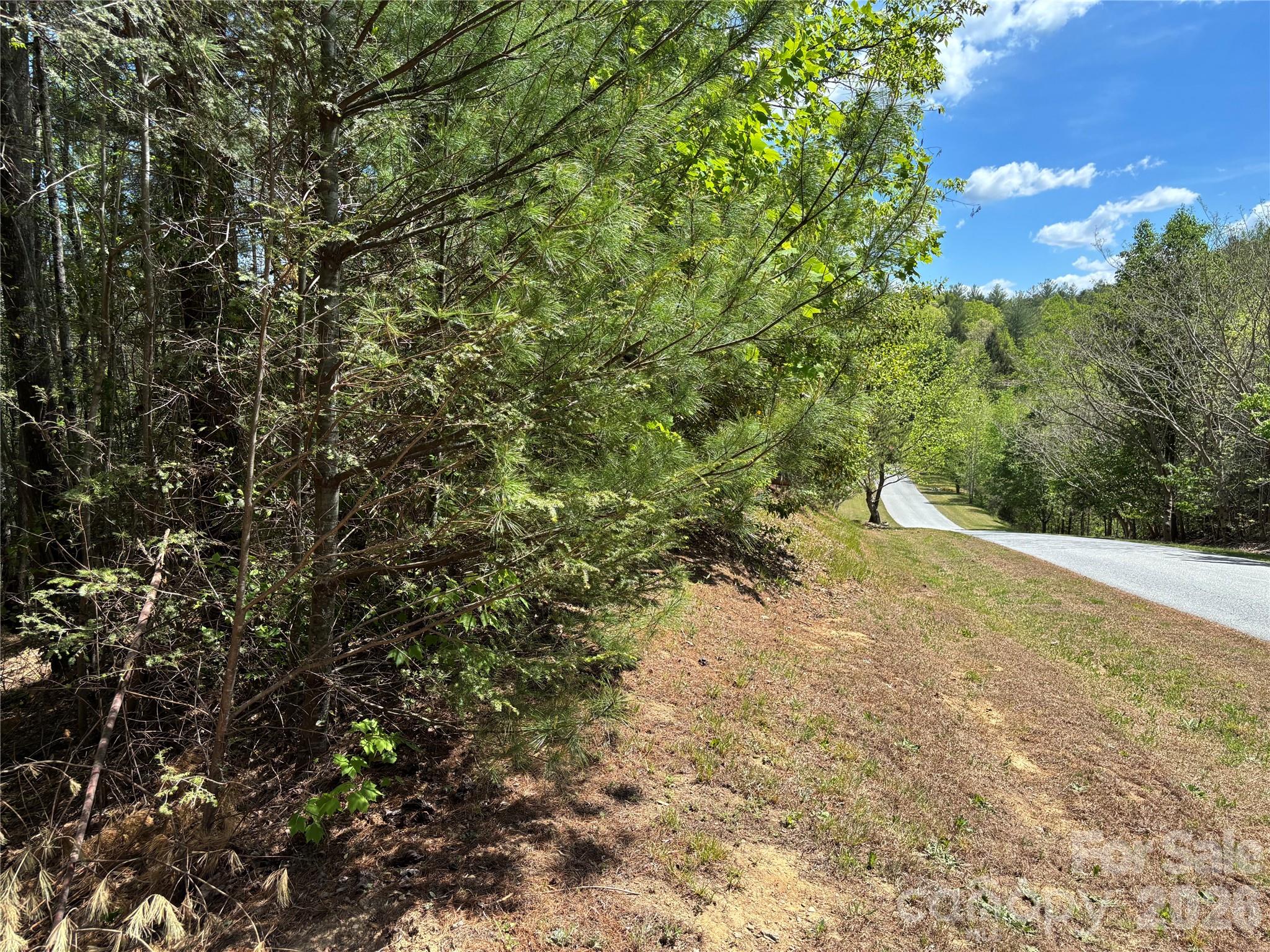 Lot at 1665 Round Mountain Parkway, Lenoir, photo 5 of 22