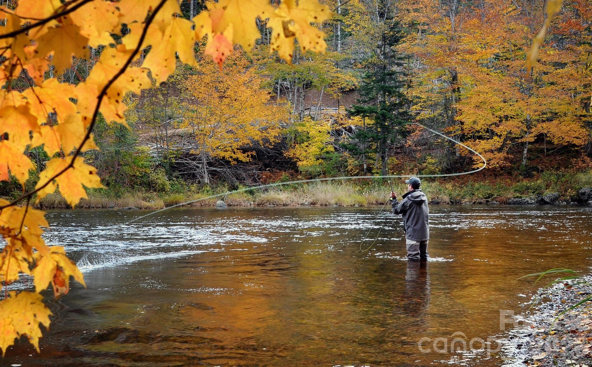 Lot at 1665 Round Mountain Parkway, Lenoir, photo 19 of 22