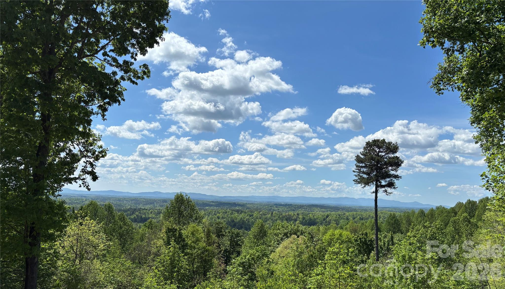 1234 Johns Ridge Parkway