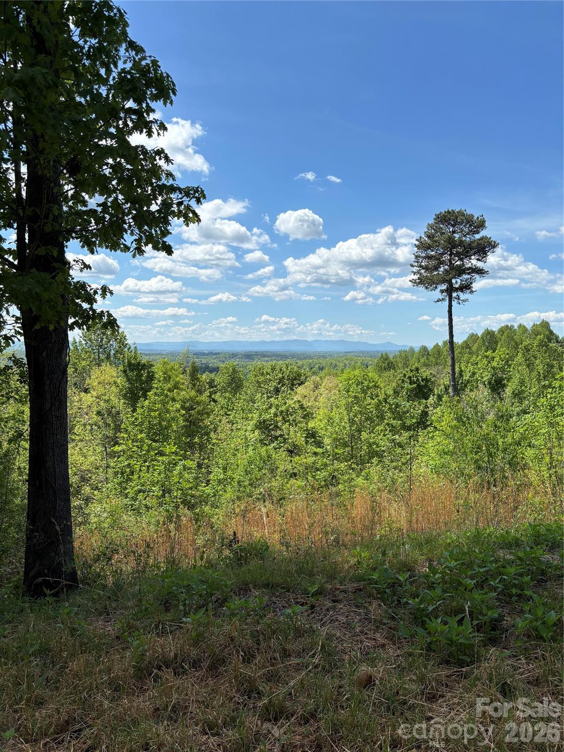 Lot at 1234 Johns Ridge Parkway, Lenoir, photo 4 of 29