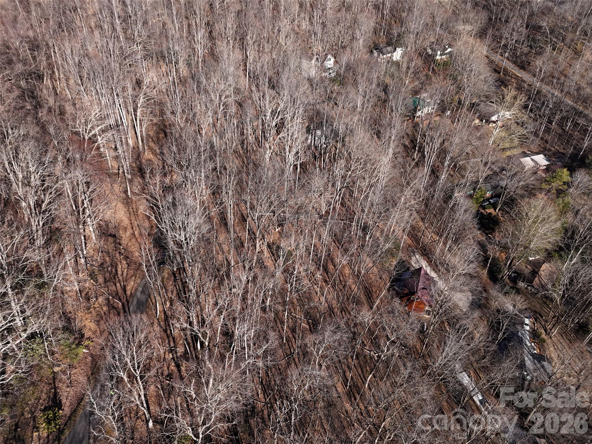 Lot at 0000 Greenview Drive, Maggie Valley, photo 7 of 19