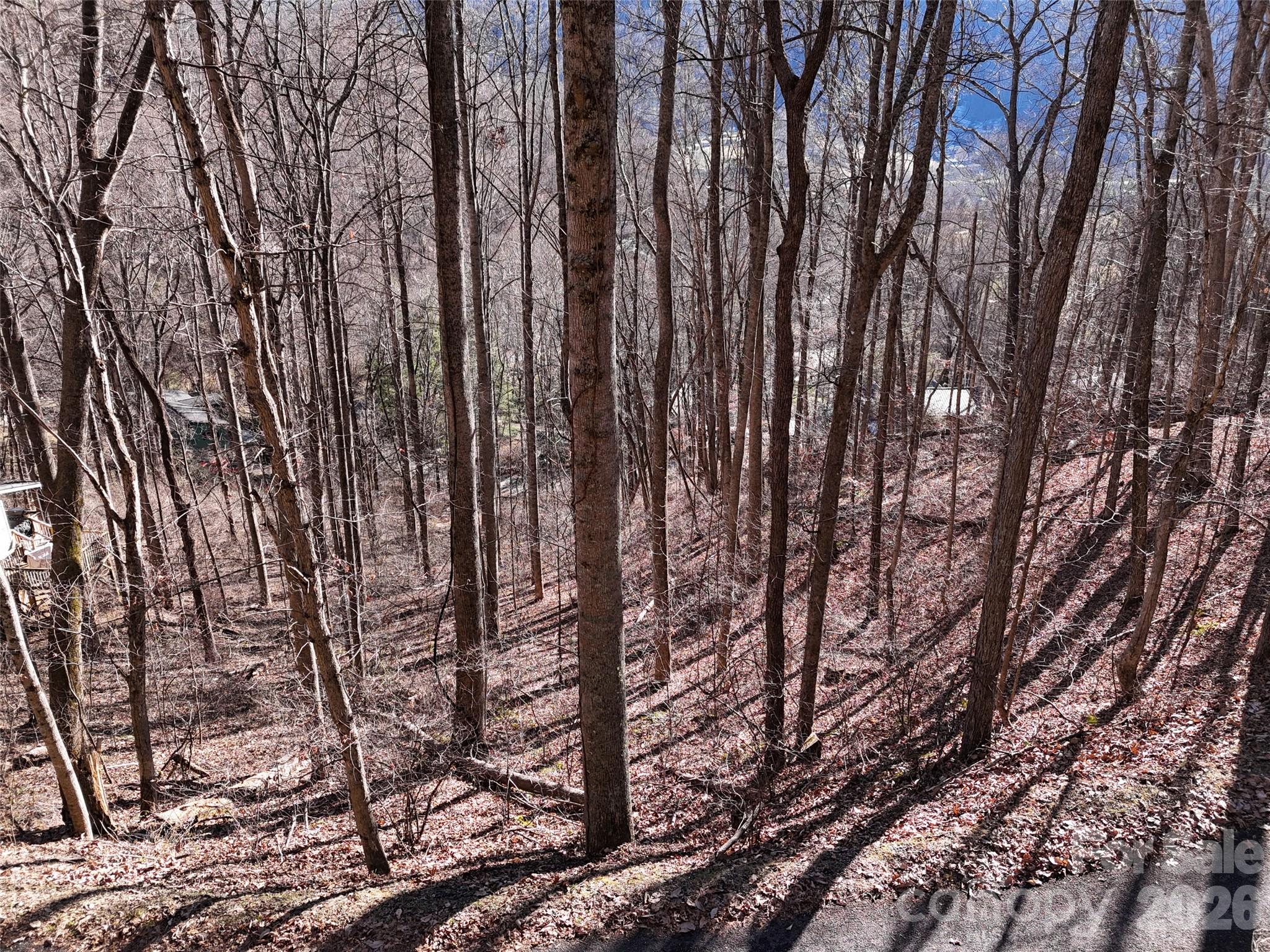 Lot at 0000 Greenview Drive, Maggie Valley, photo 9 of 19