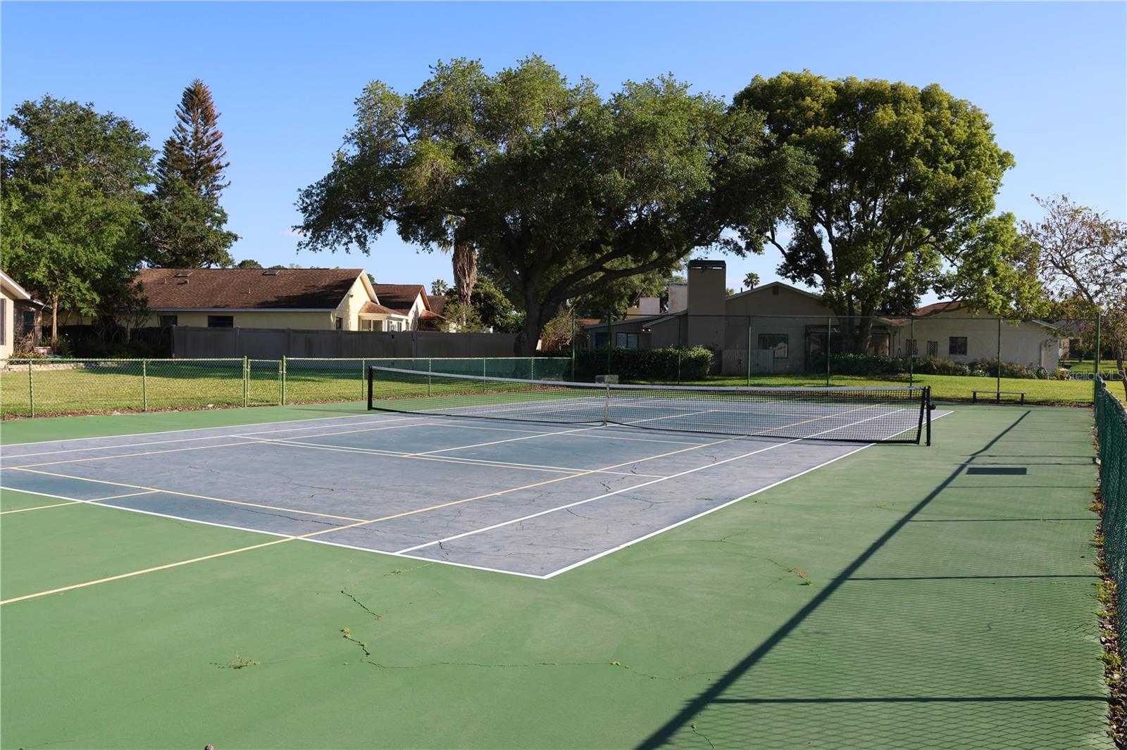 Tennis / Pickleball - 3971 CYPRESS LNDG W, WINTER HAVEN
