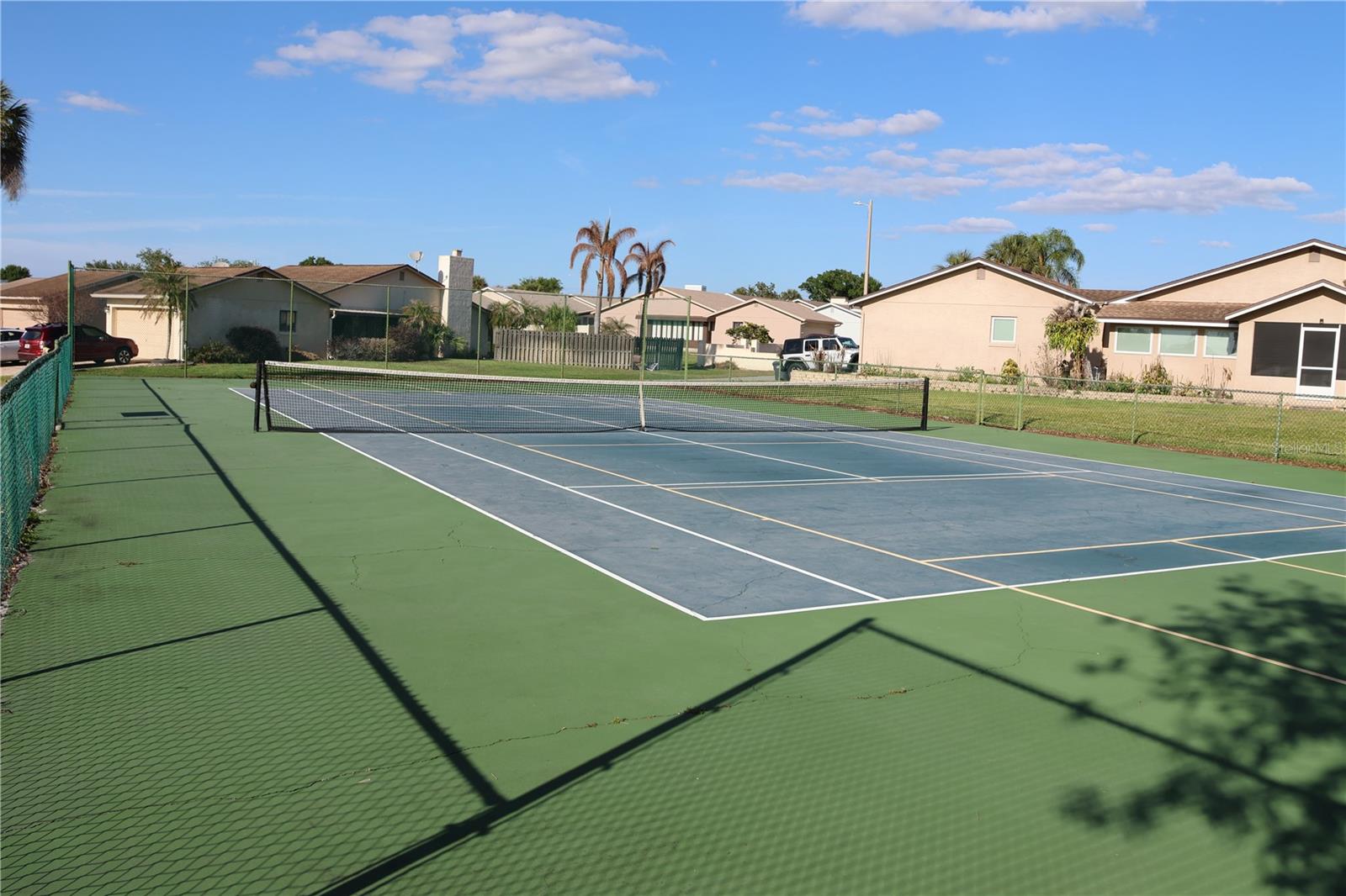 Tennis / Pickleball - 3971 CYPRESS LNDG W, WINTER HAVEN