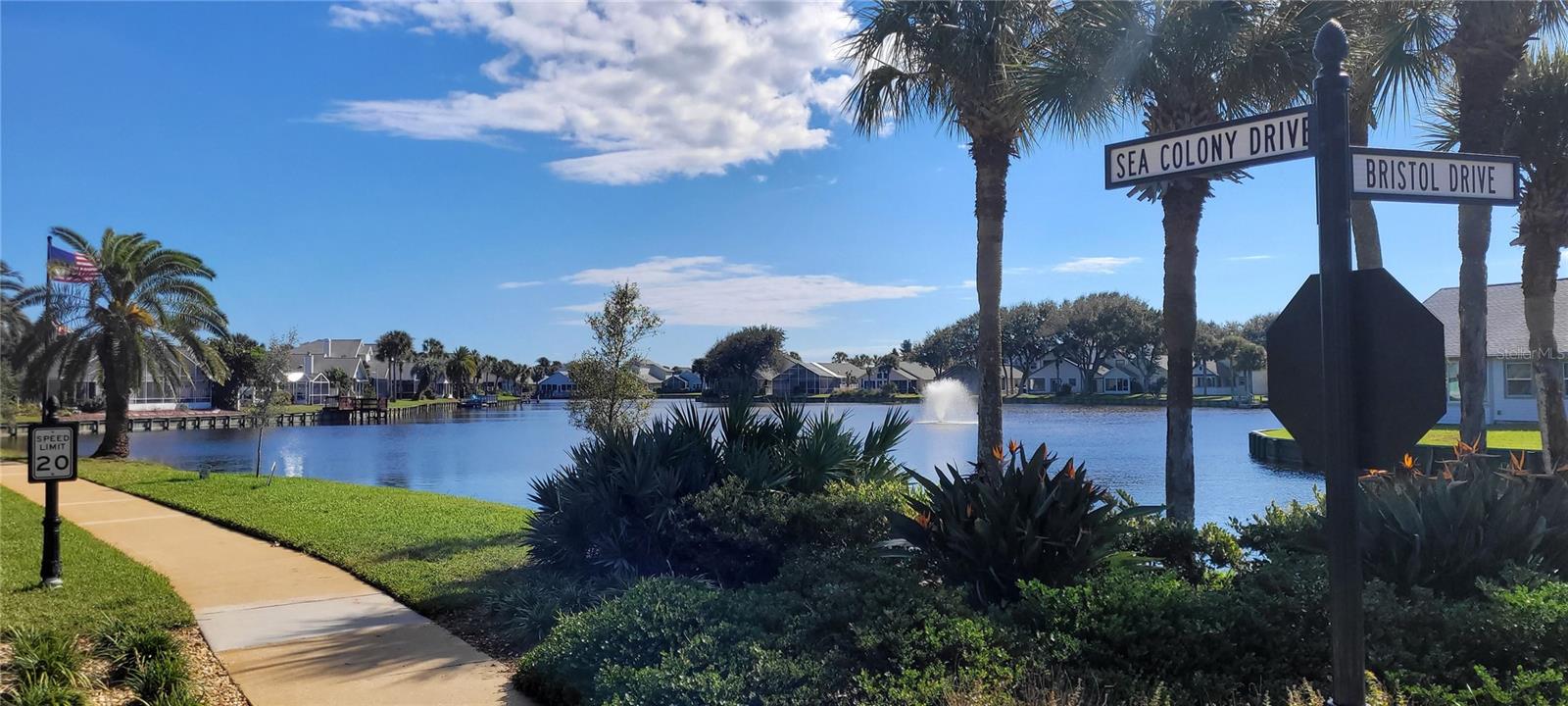 Pond at road turn - 68 BRISTOL LN, PALM COAST
