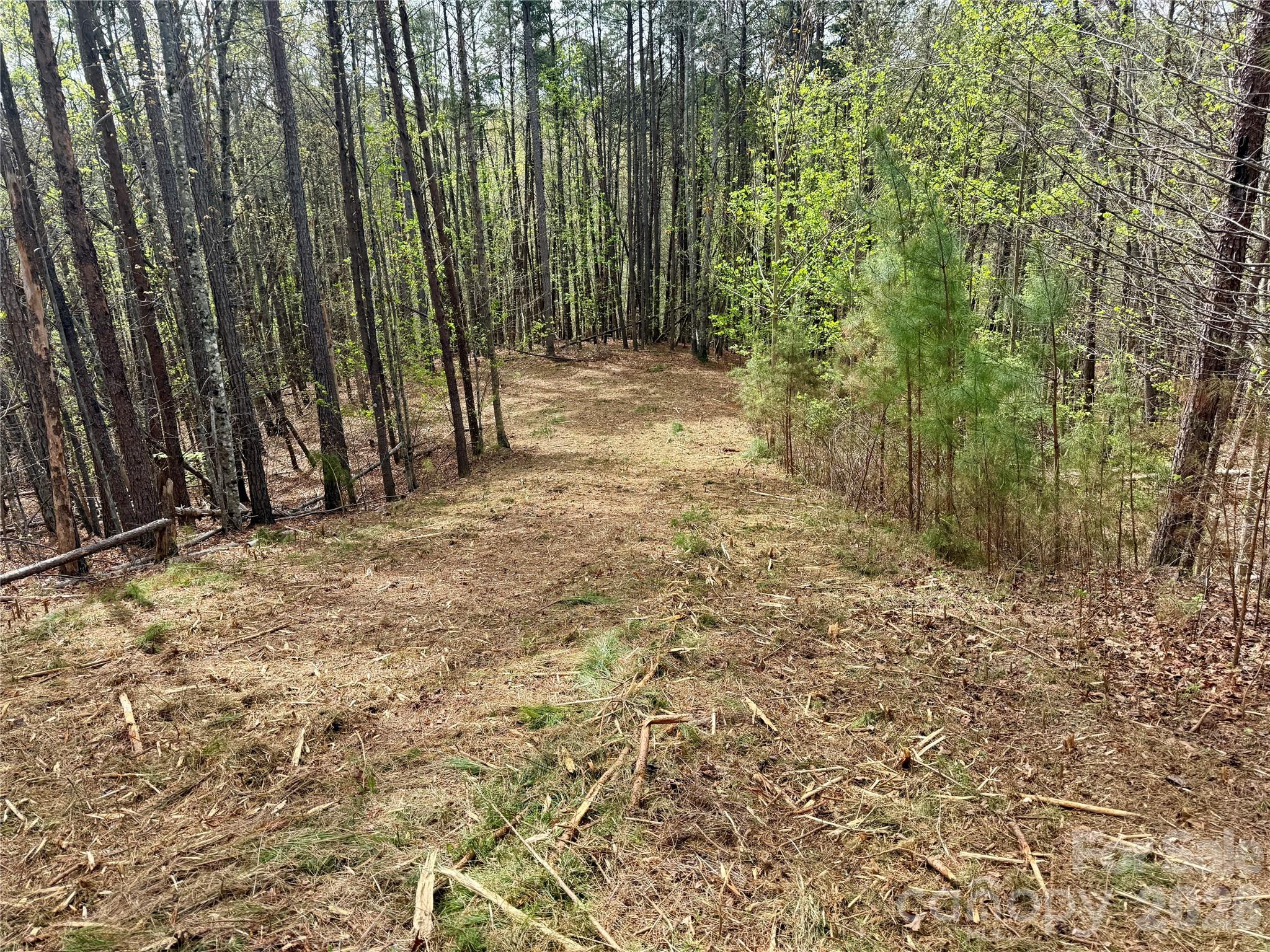 Lot at Lot 488 Bella Vista Way, Nebo, photo 2 of 28