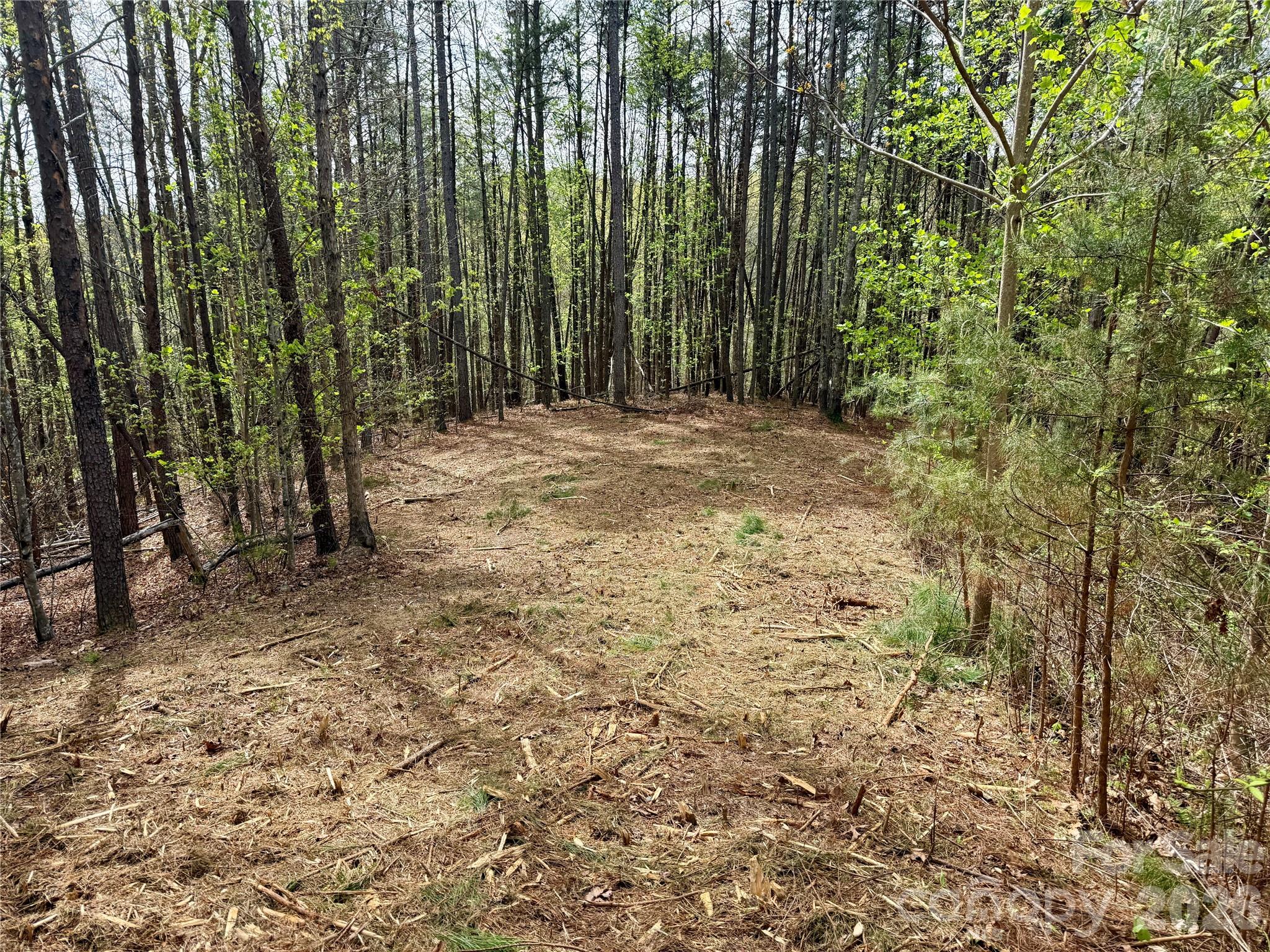 Lot at Lot 488 Bella Vista Way, Nebo, photo 3 of 28