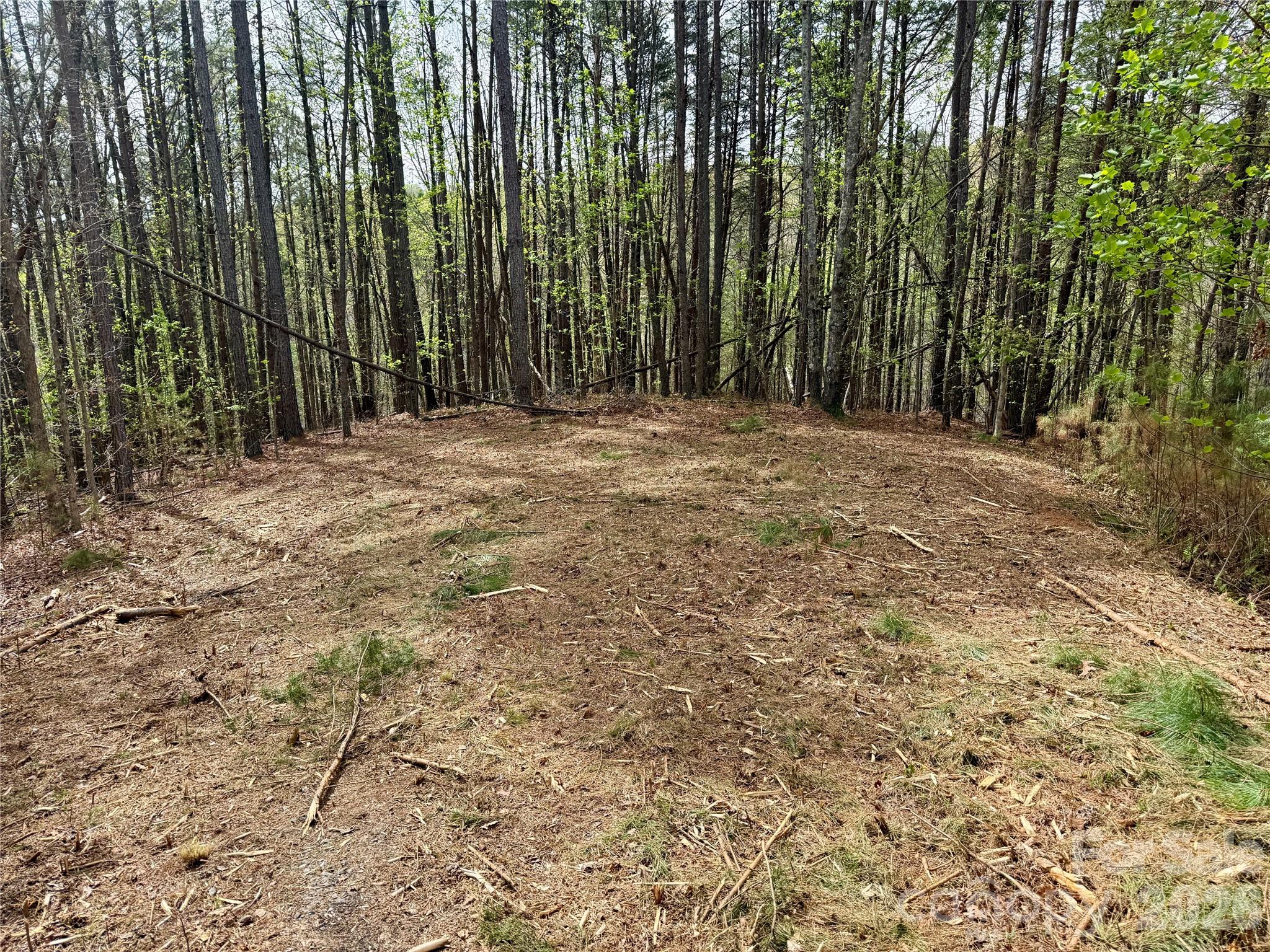 Lot at Lot 488 Bella Vista Way, Nebo, photo 4 of 28