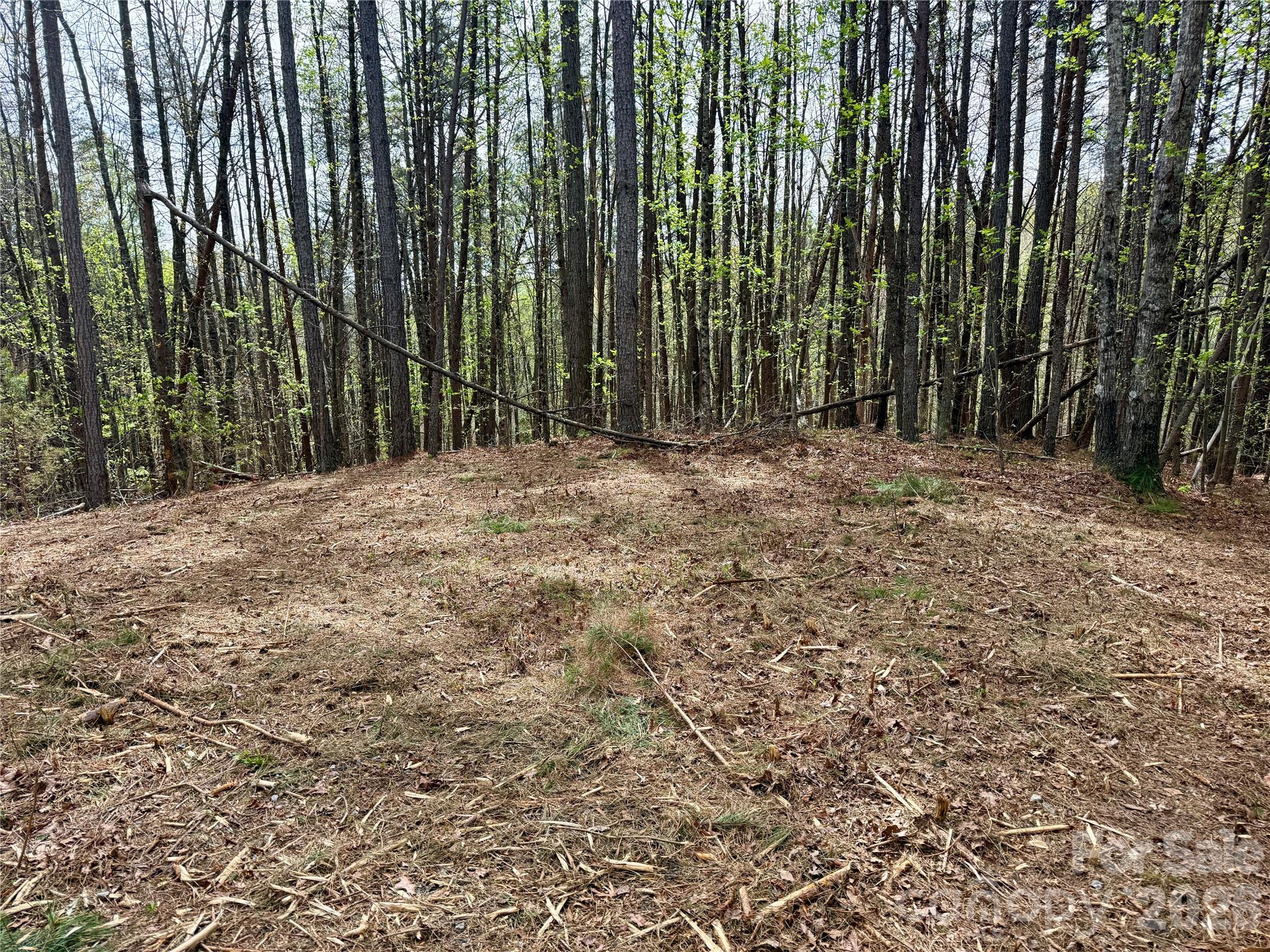 Lot at Lot 488 Bella Vista Way, Nebo, photo 5 of 28
