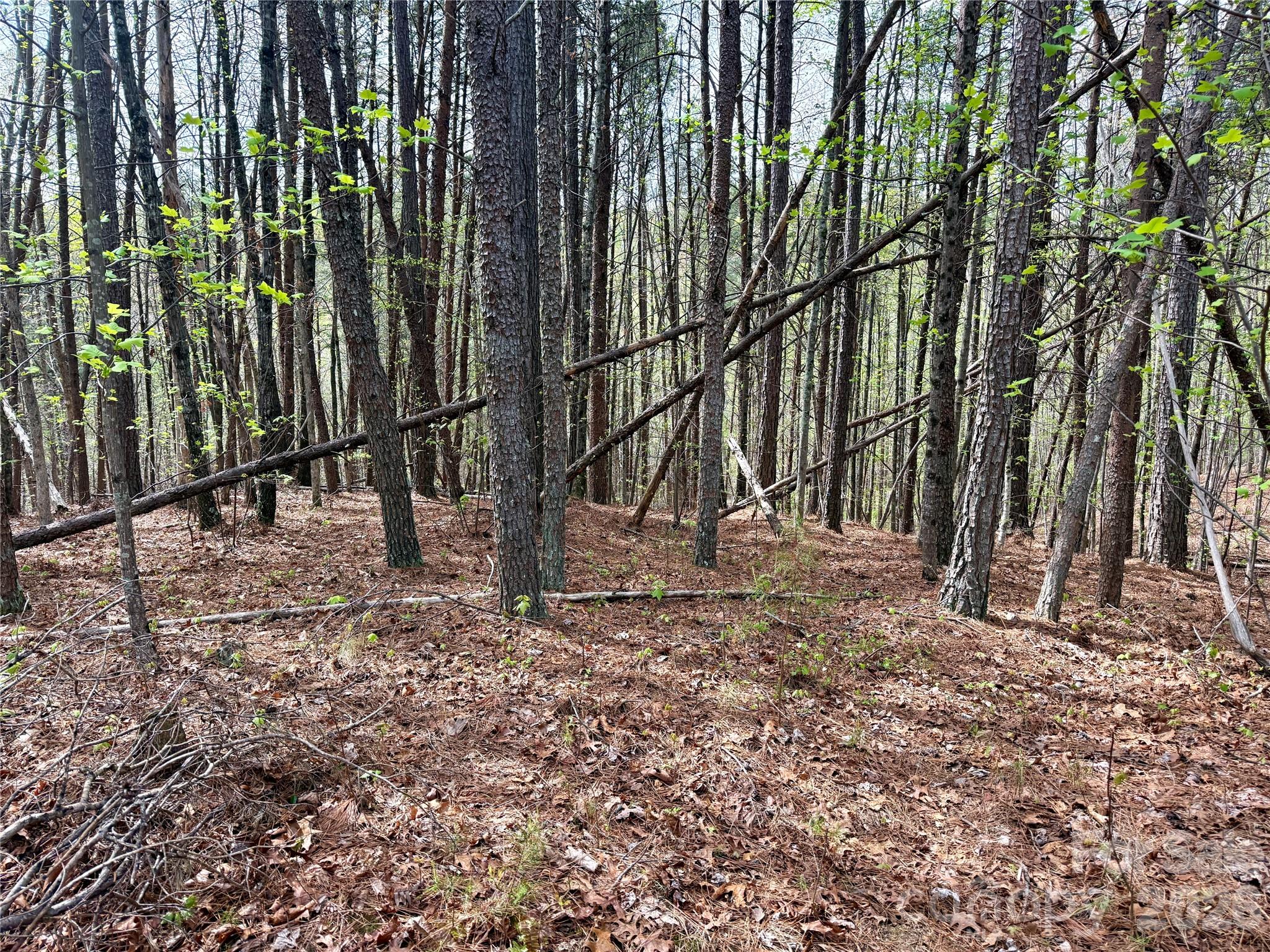 Lot at Lot 488 Bella Vista Way, Nebo, photo 6 of 28