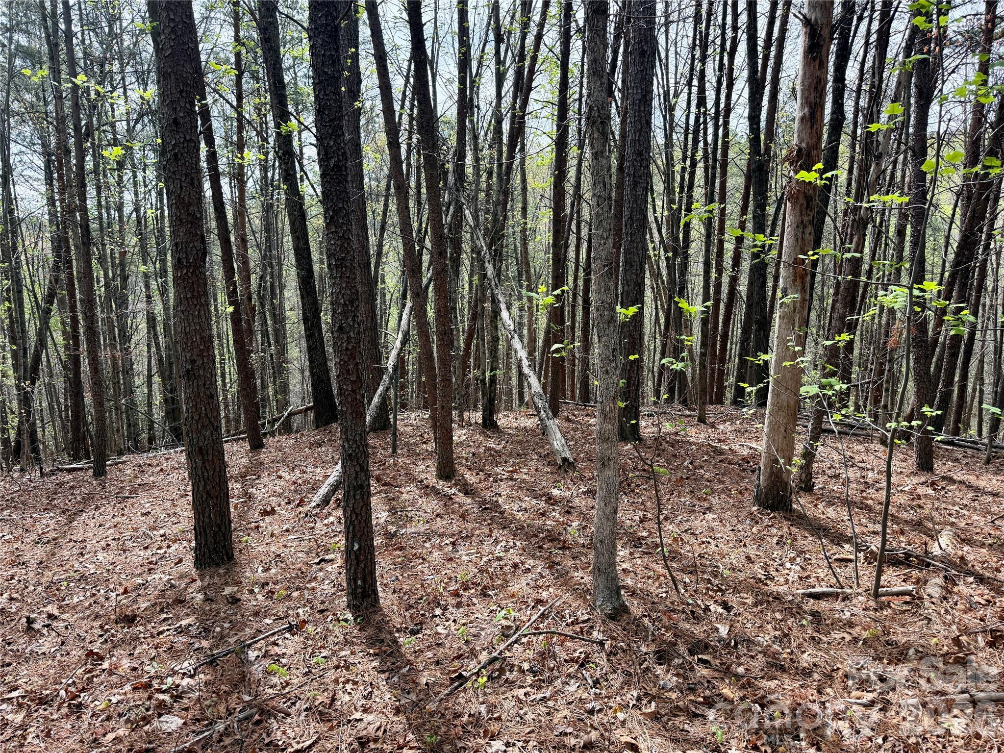Lot at Lot 488 Bella Vista Way, Nebo, photo 7 of 28