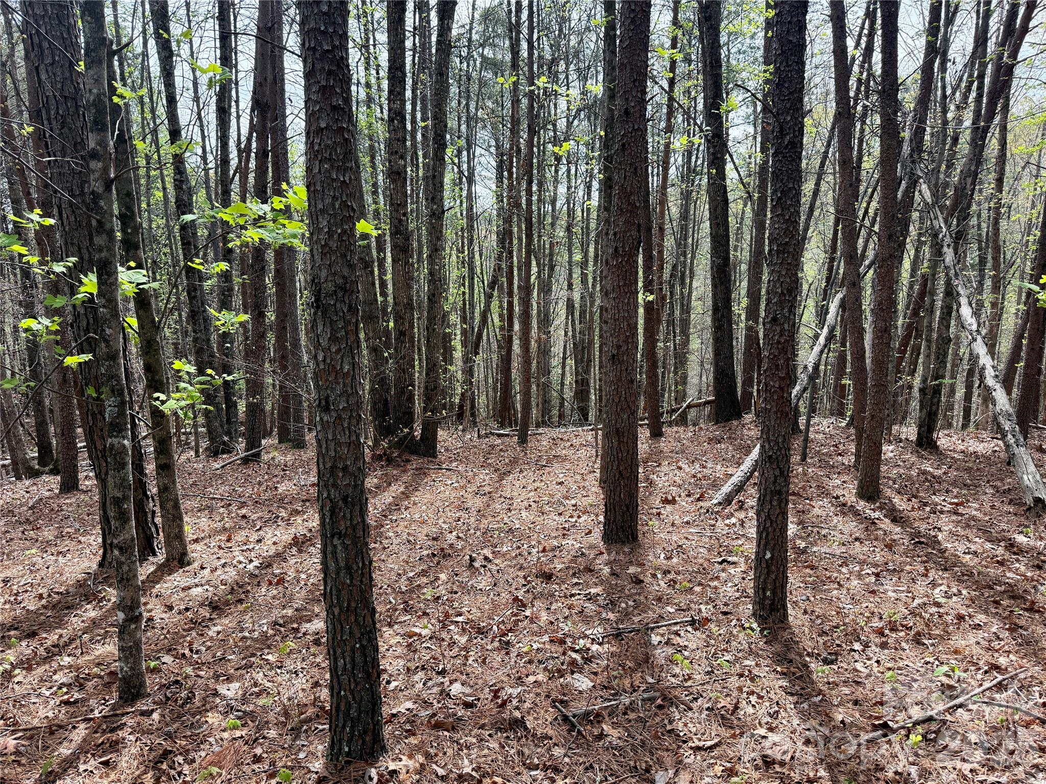 Lot at Lot 488 Bella Vista Way, Nebo, photo 8 of 28