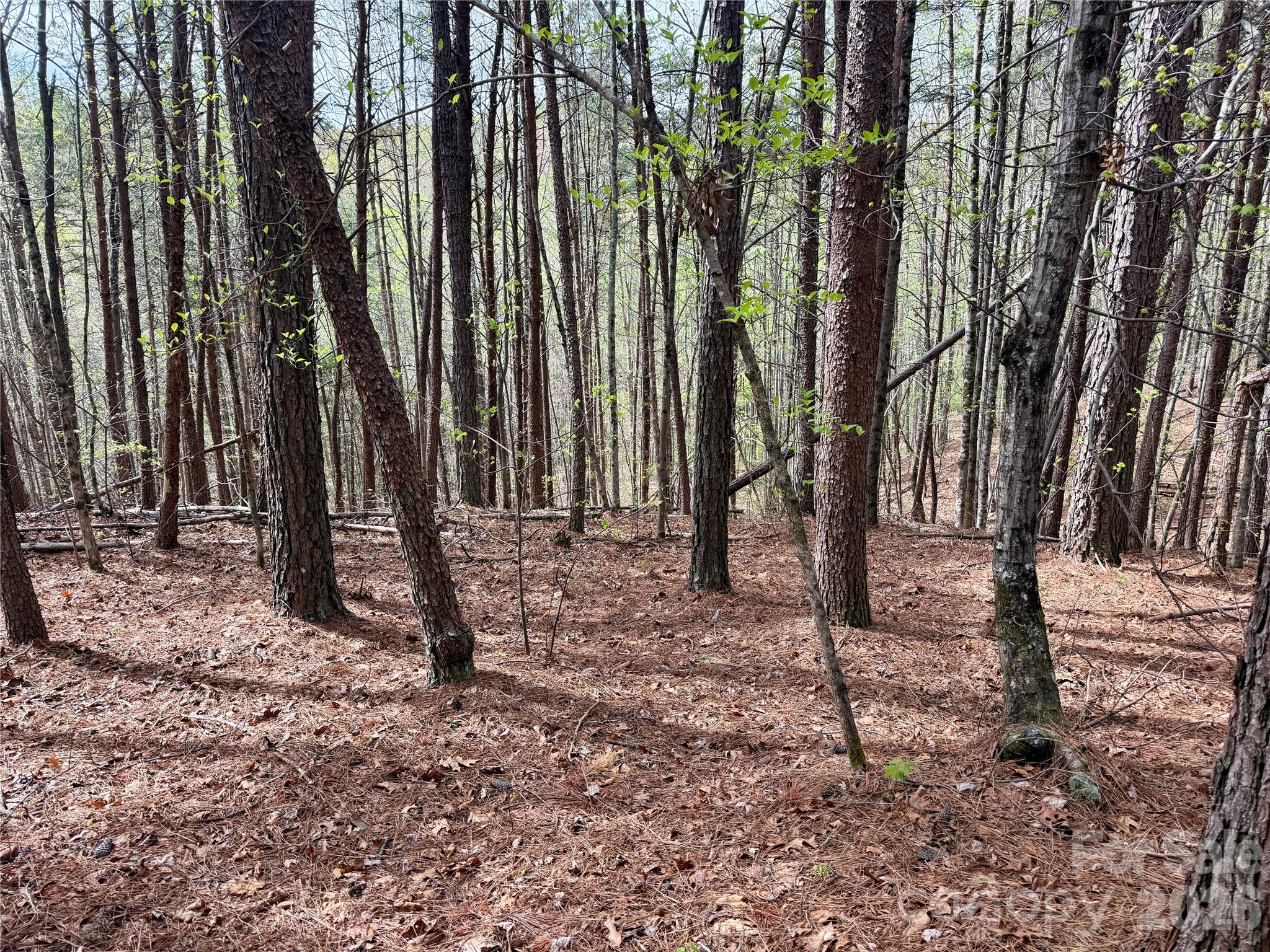 Lot at Lot 488 Bella Vista Way, Nebo, photo 9 of 28