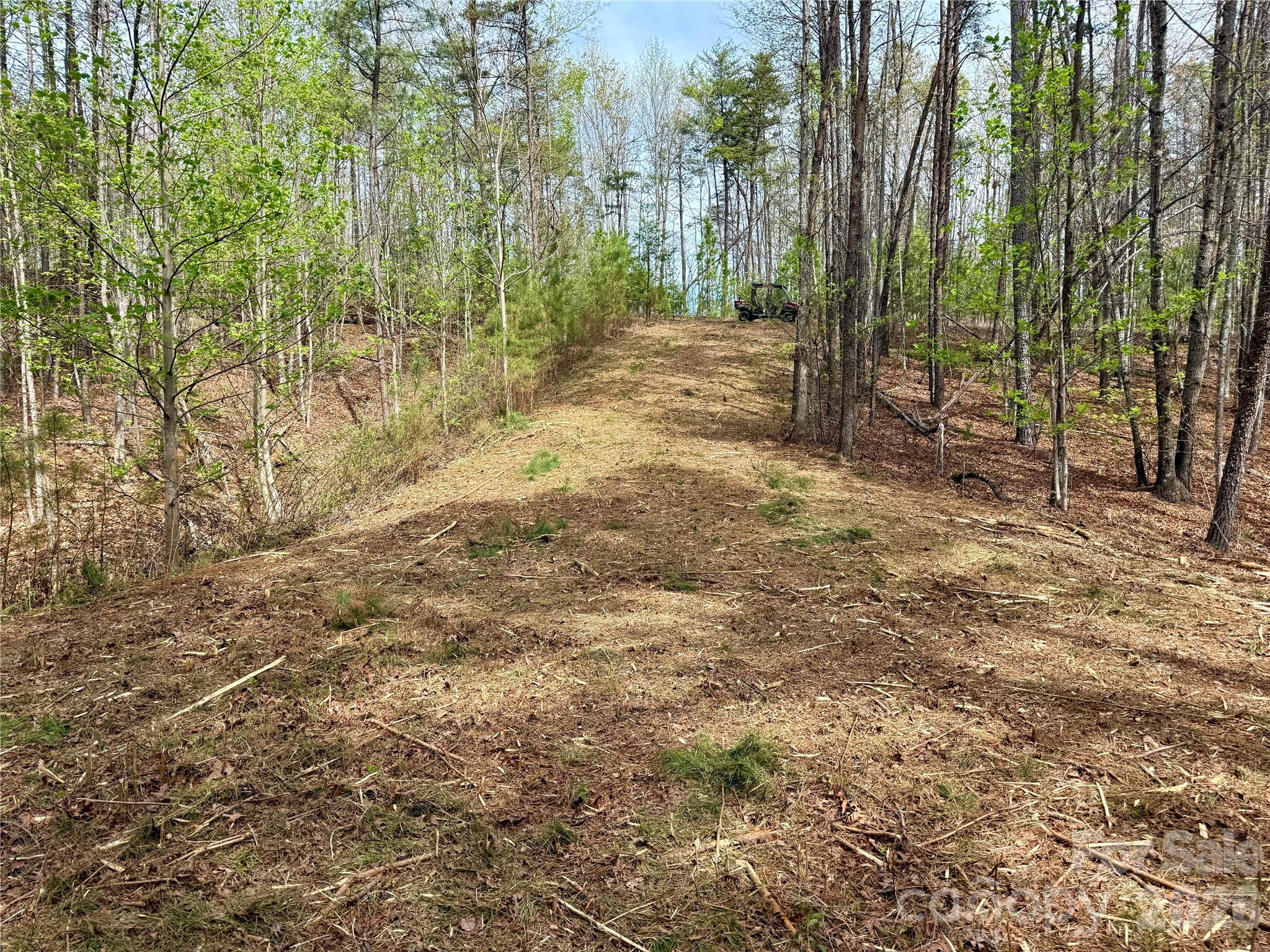 Lot at Lot 488 Bella Vista Way, Nebo, photo 10 of 28