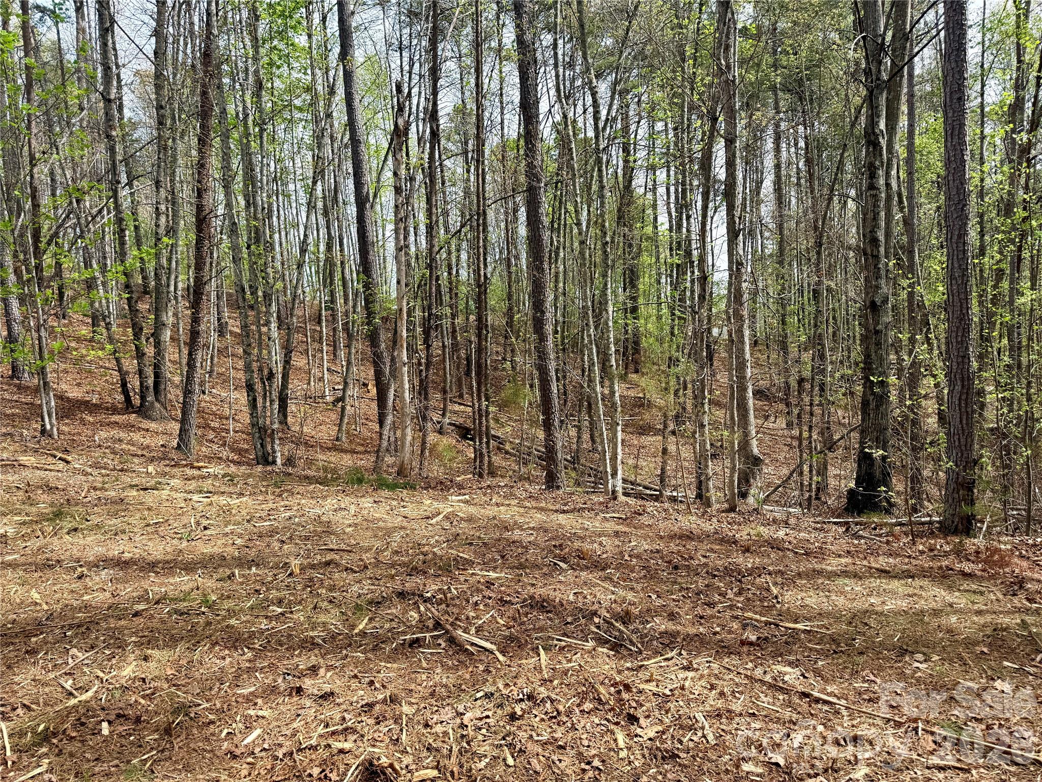 Lot at Lot 488 Bella Vista Way, Nebo, photo 11 of 28