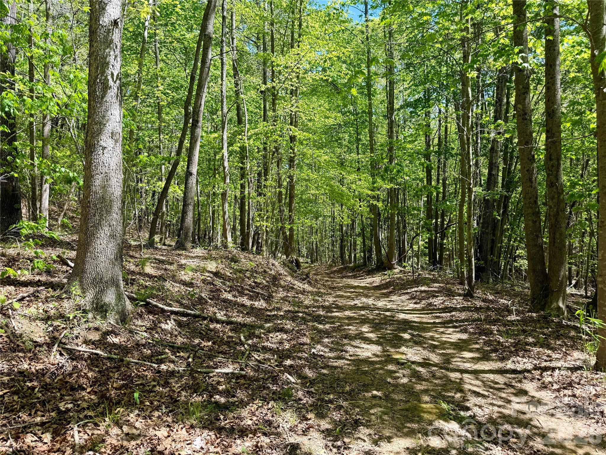 Lot borders community hiking trails for easy access - Lot 488 Bella Vista Way, Nebo