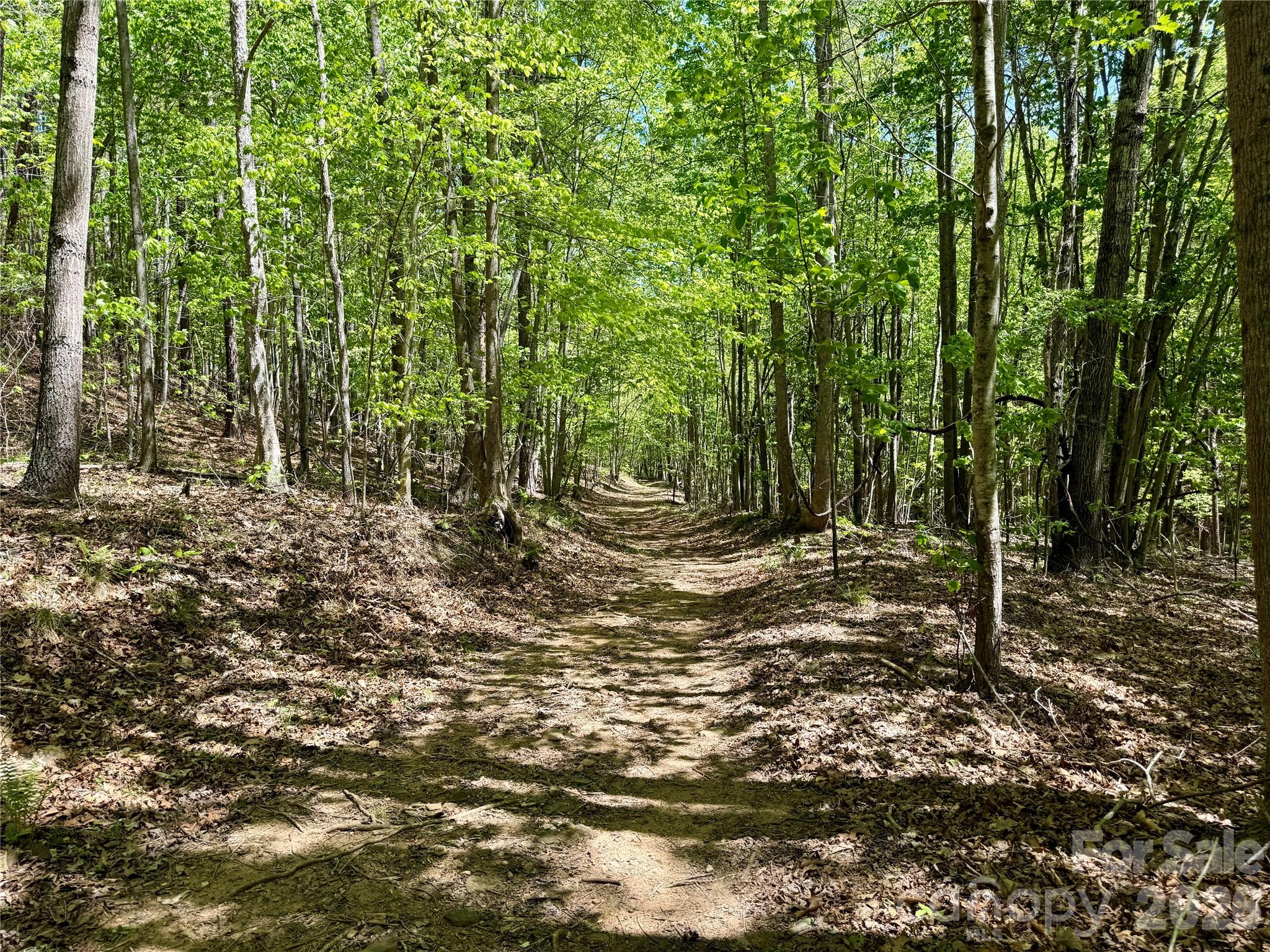 Lot at Lot 488 Bella Vista Way, Nebo, photo 13 of 28