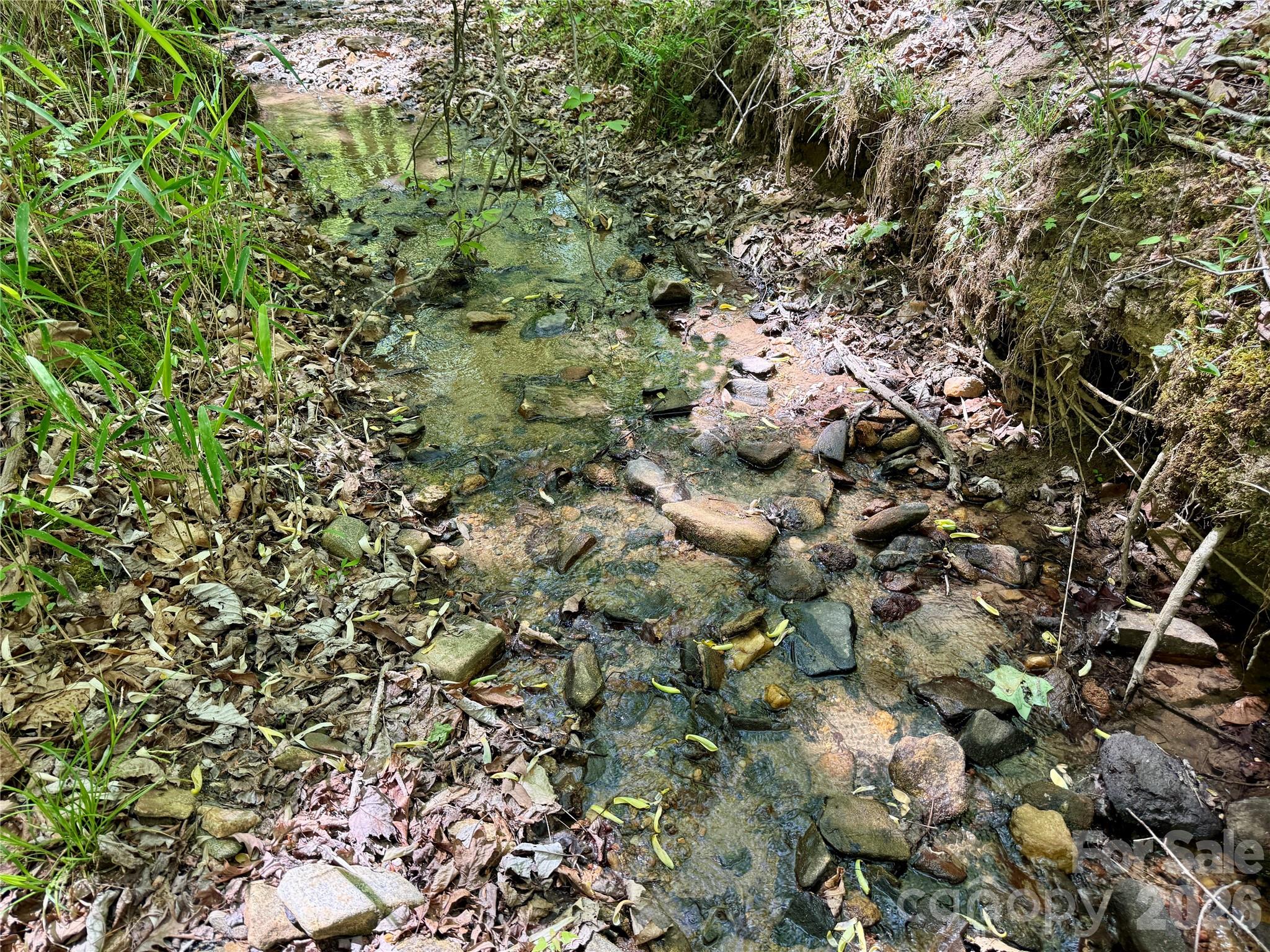Small creek at back of property - Lot 488 Bella Vista Way, Nebo