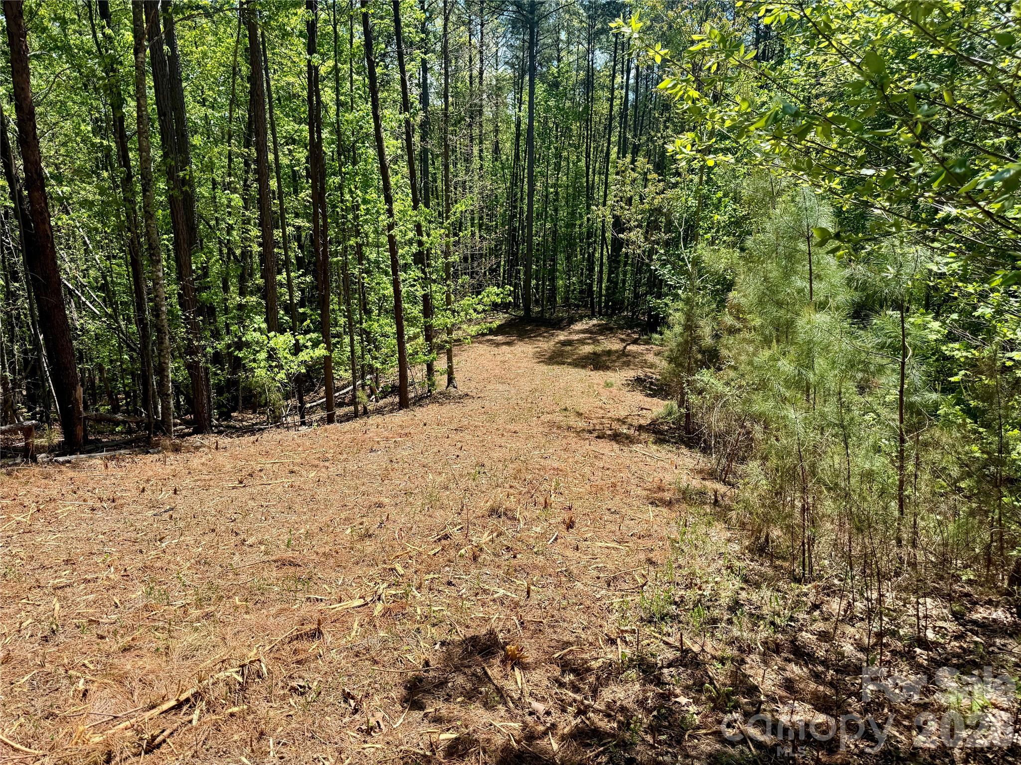 Freshly cleared driveway to build site - Lot 488 Bella Vista Way, Nebo