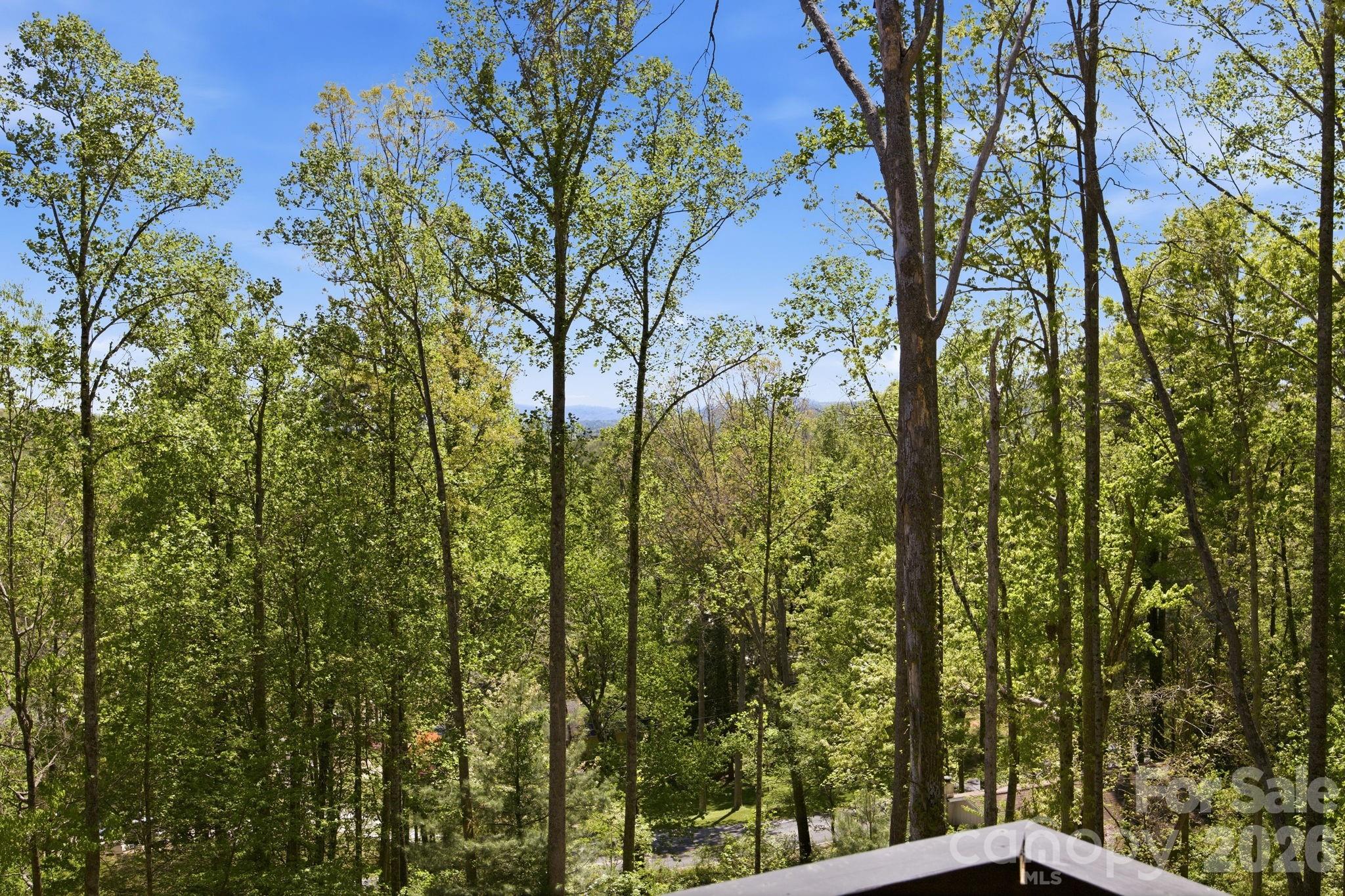 View from front deck - 102 Sandpiper Palisades Street, Hendersonville