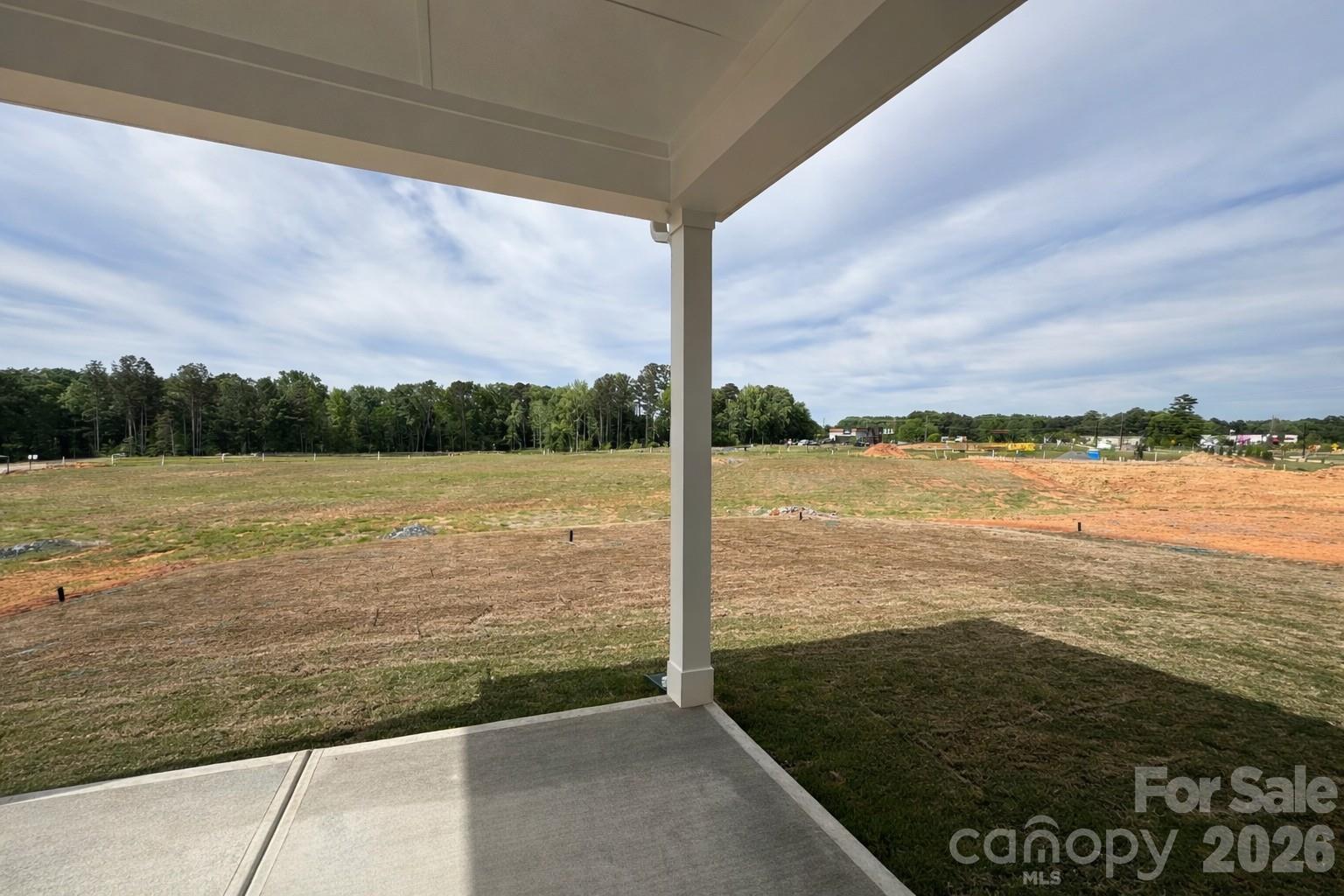 Backs up to common area. - 333 Portree Street, Rock Hill