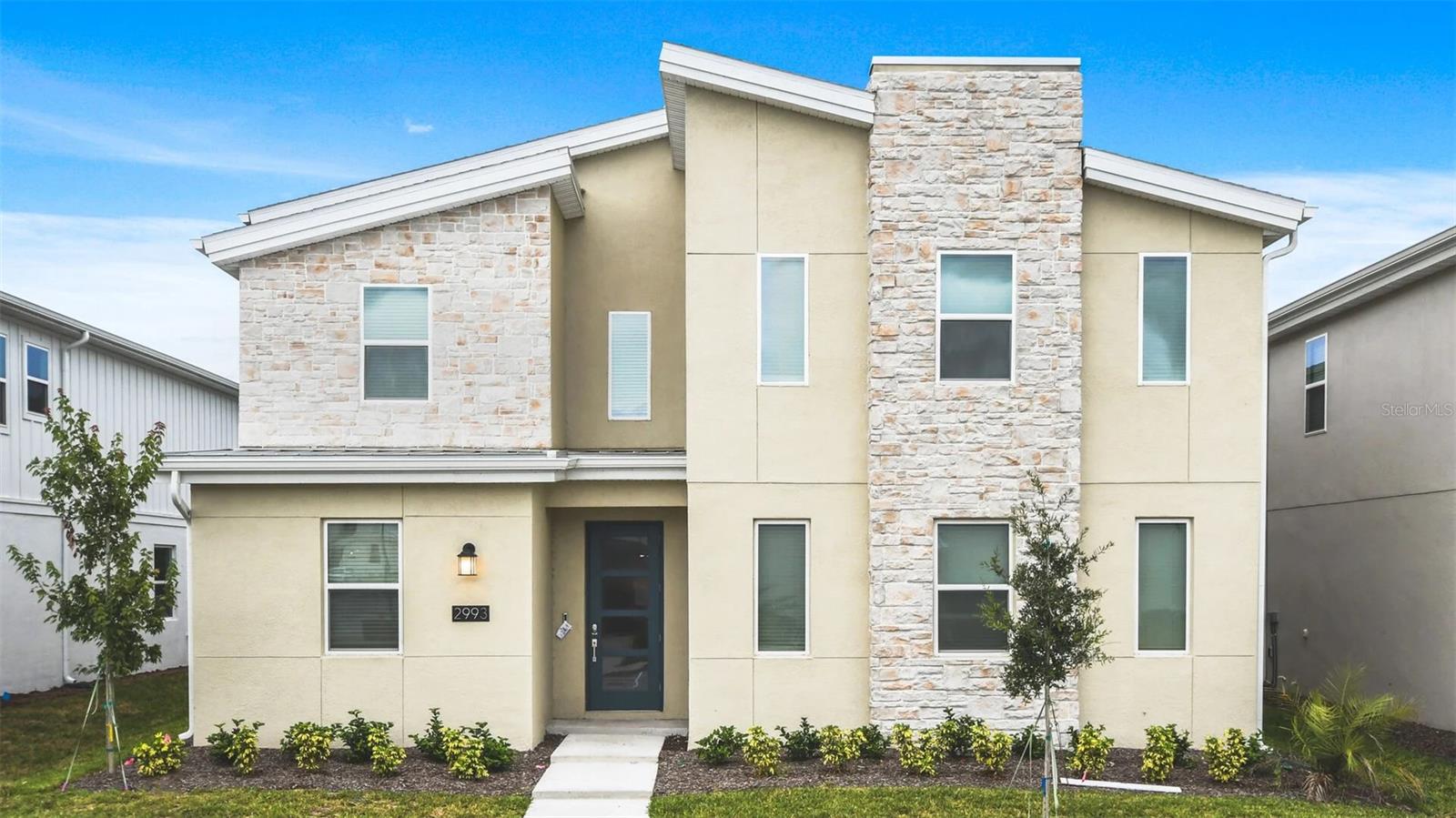 2993 PROTAGONIST ST
