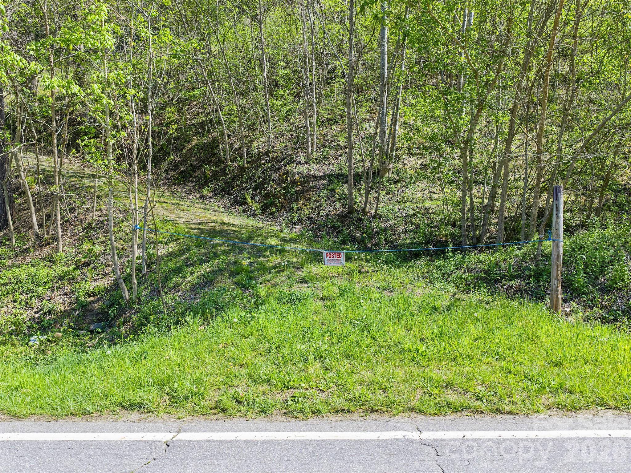 Driveway to homesite - 000 Little Pine Road, Marshall