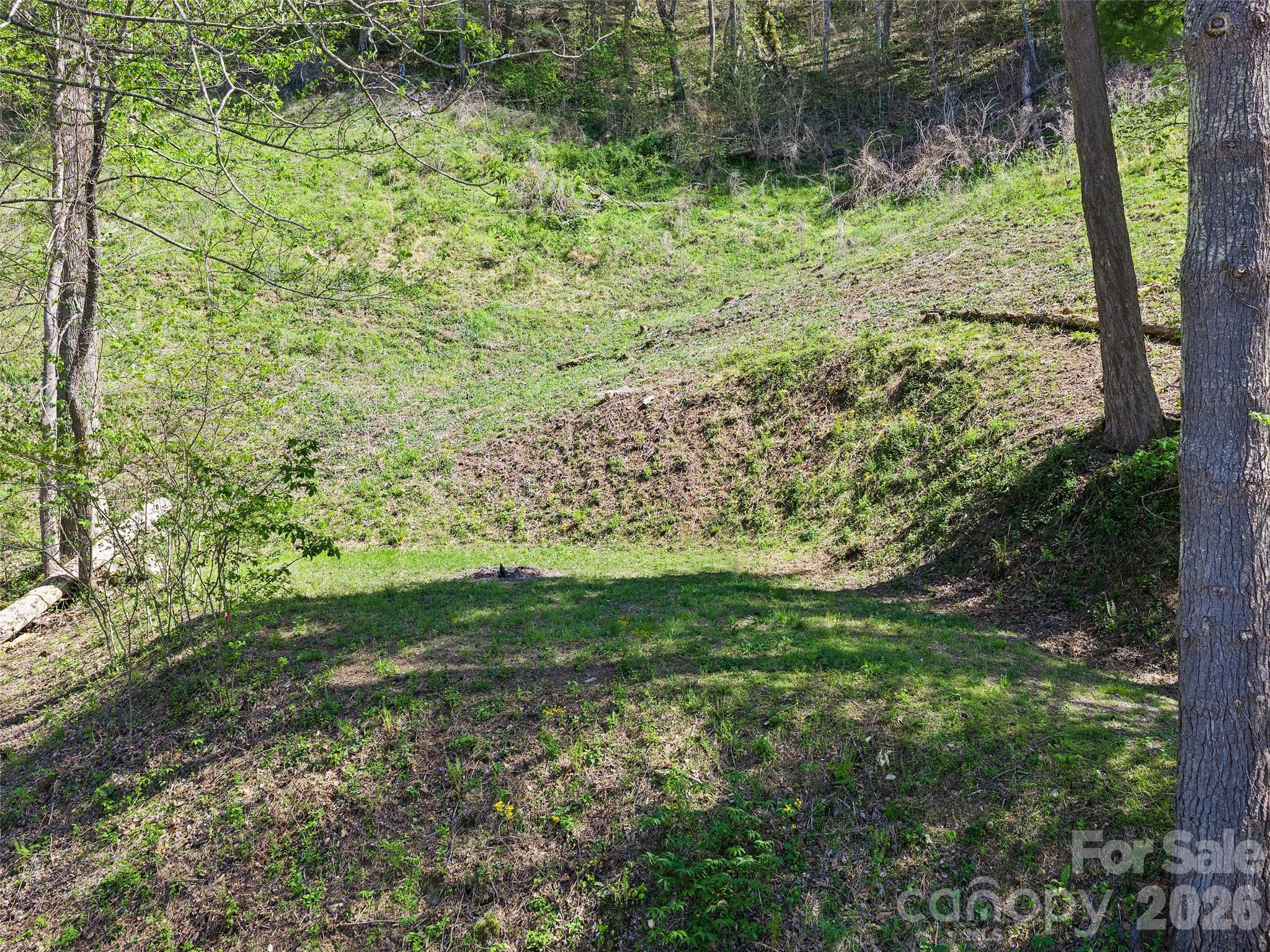 Lot at 000 Little Pine Road, Marshall, photo 10 of 19