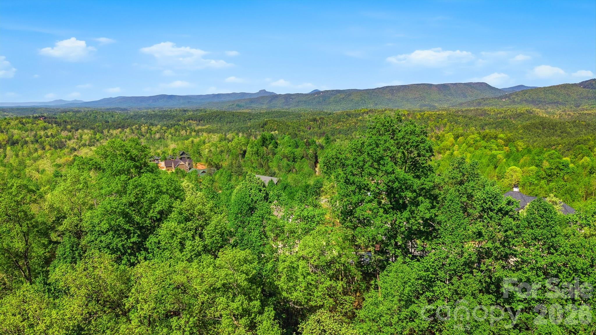 Lot at 1029 River Club Ridge, Lenoir, photo 10 of 34