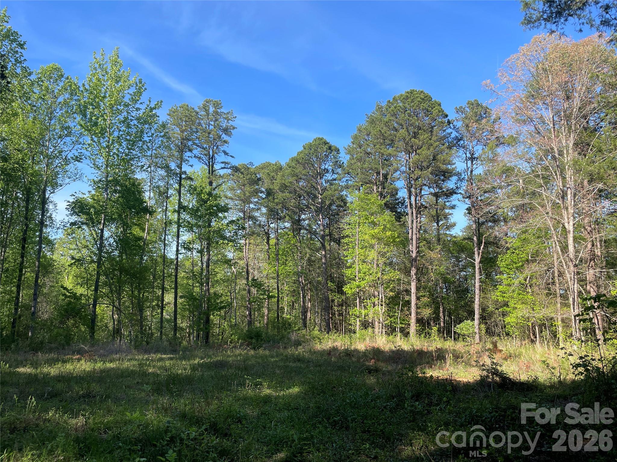 Acreage at 4006 Old Salisbury Concord Road, Kannapolis, photo 6 of 7