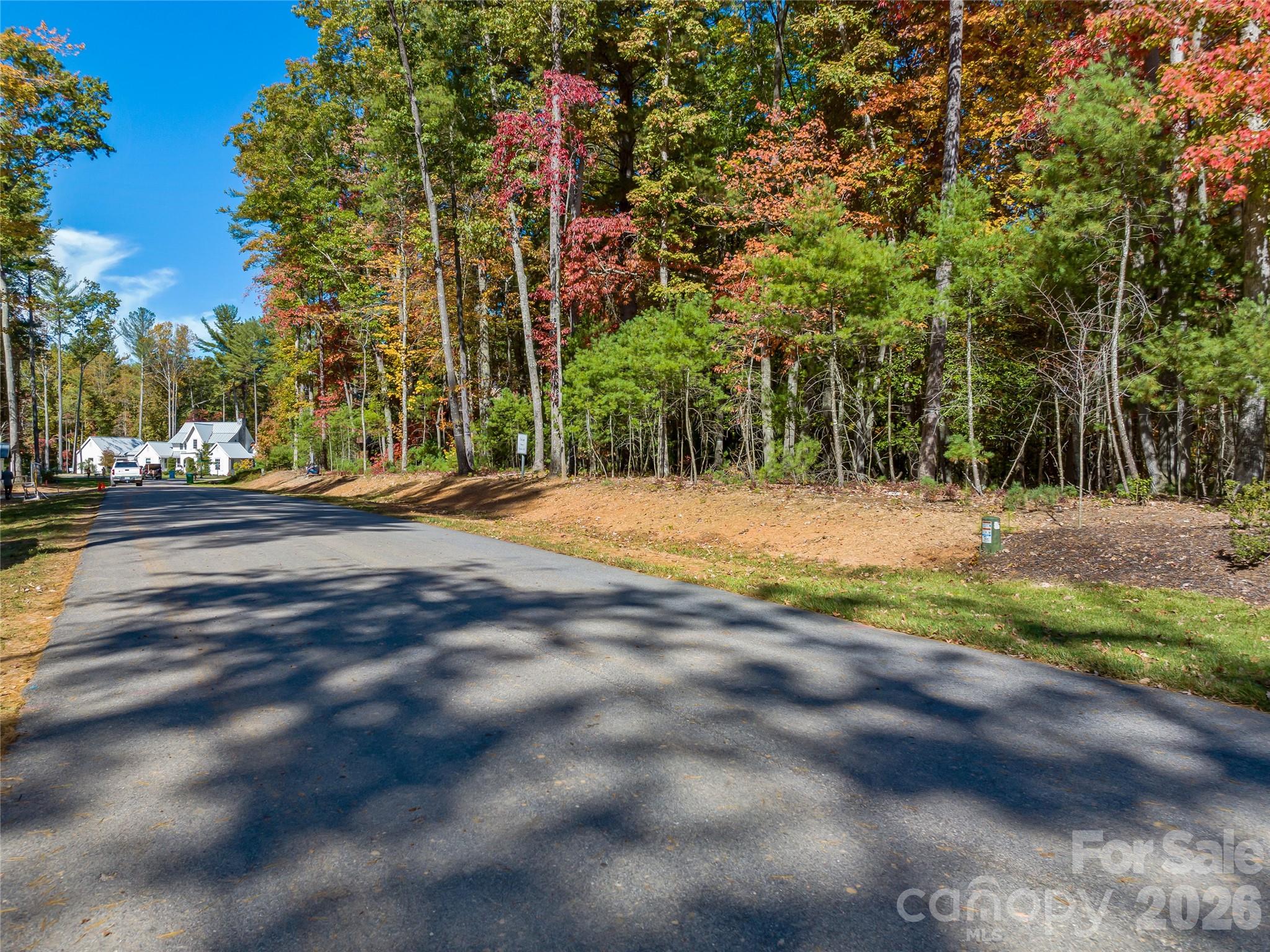 Lot at 75 Emerald Necklace Drive, Asheville, photo 5 of 47