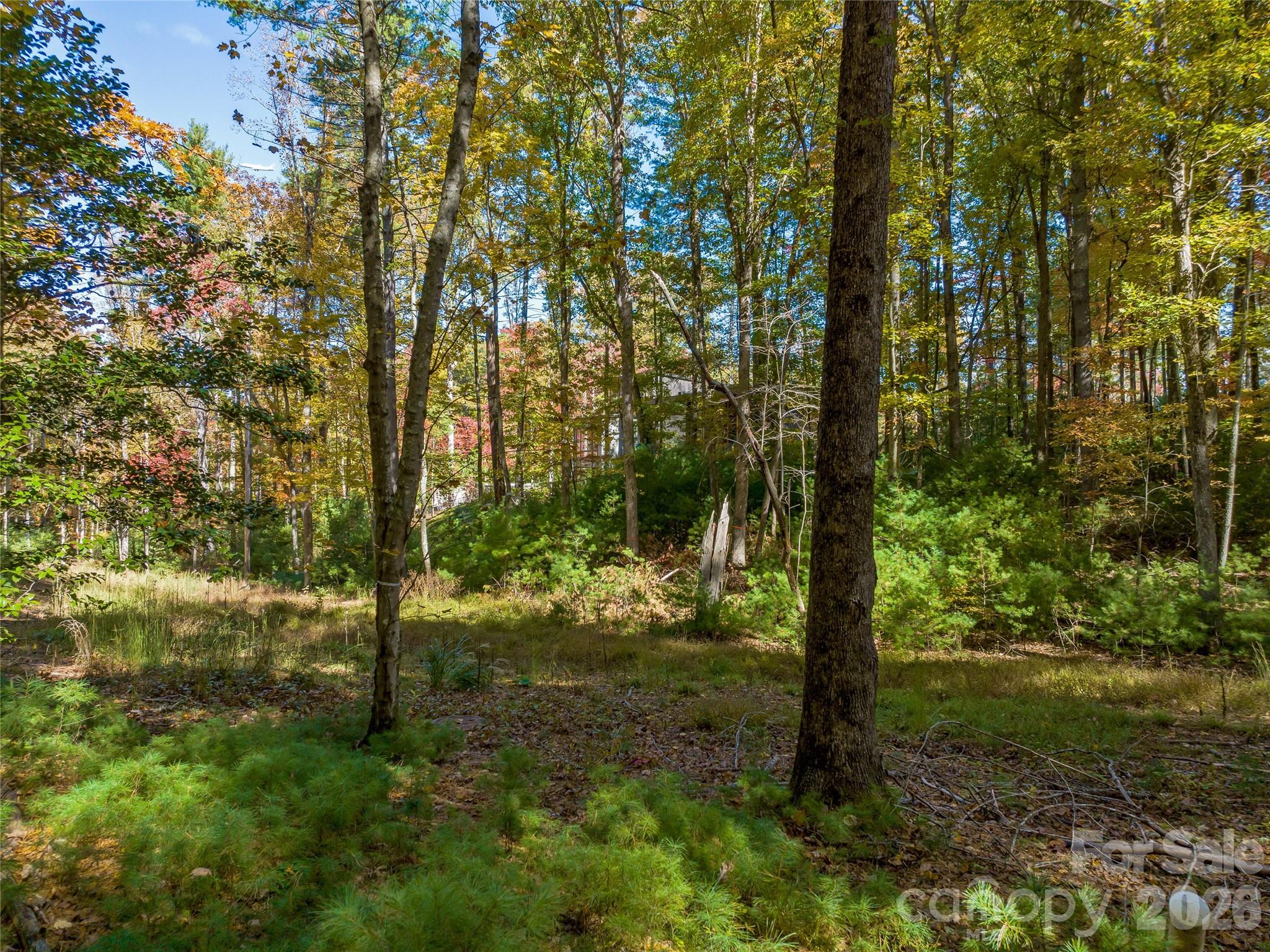 Lot at 75 Emerald Necklace Drive, Asheville, photo 9 of 47