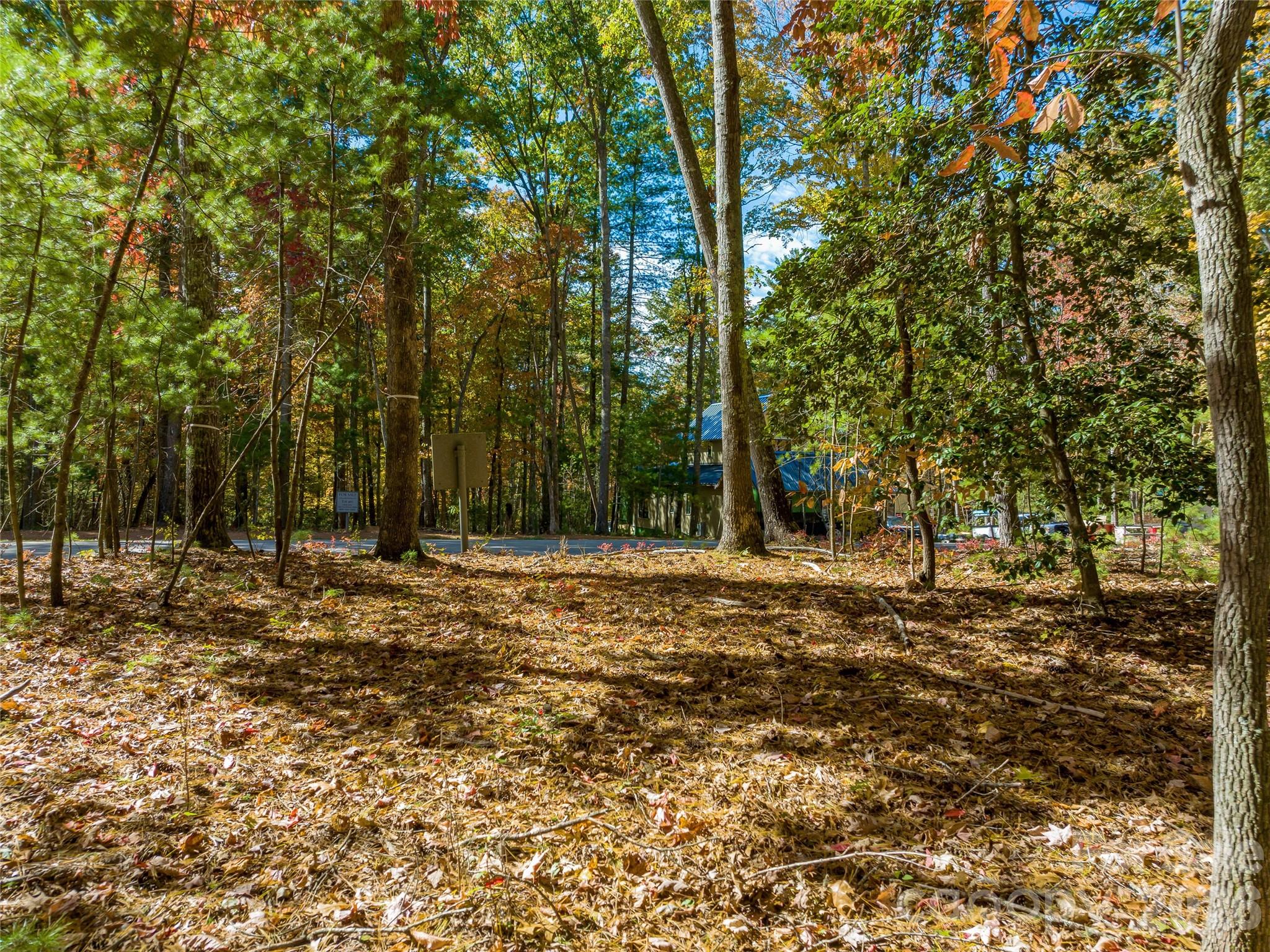 Lot at 75 Emerald Necklace Drive, Asheville, photo 21 of 47