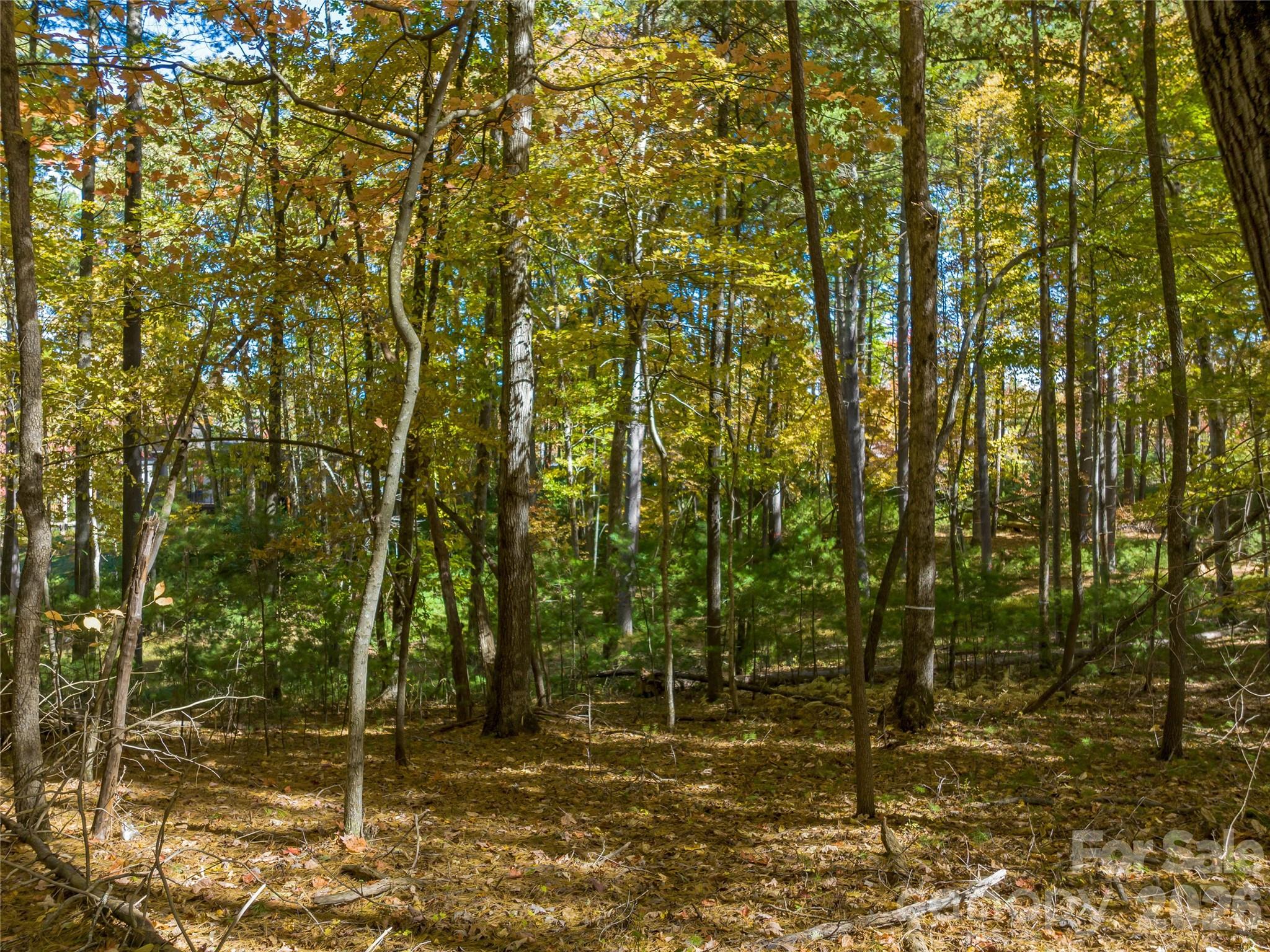 Lot at 75 Emerald Necklace Drive, Asheville, photo 23 of 47