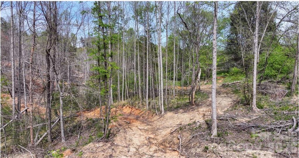 Lot at 161 Queen Drive, North Wilkesboro, photo 8 of 21