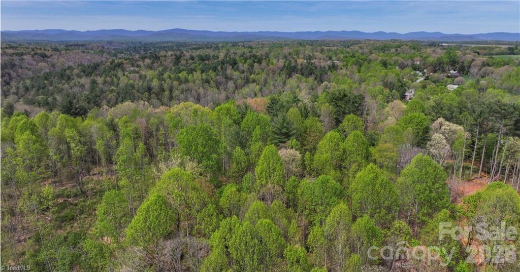 Lot at 161 Queen Drive, North Wilkesboro, photo 13 of 21