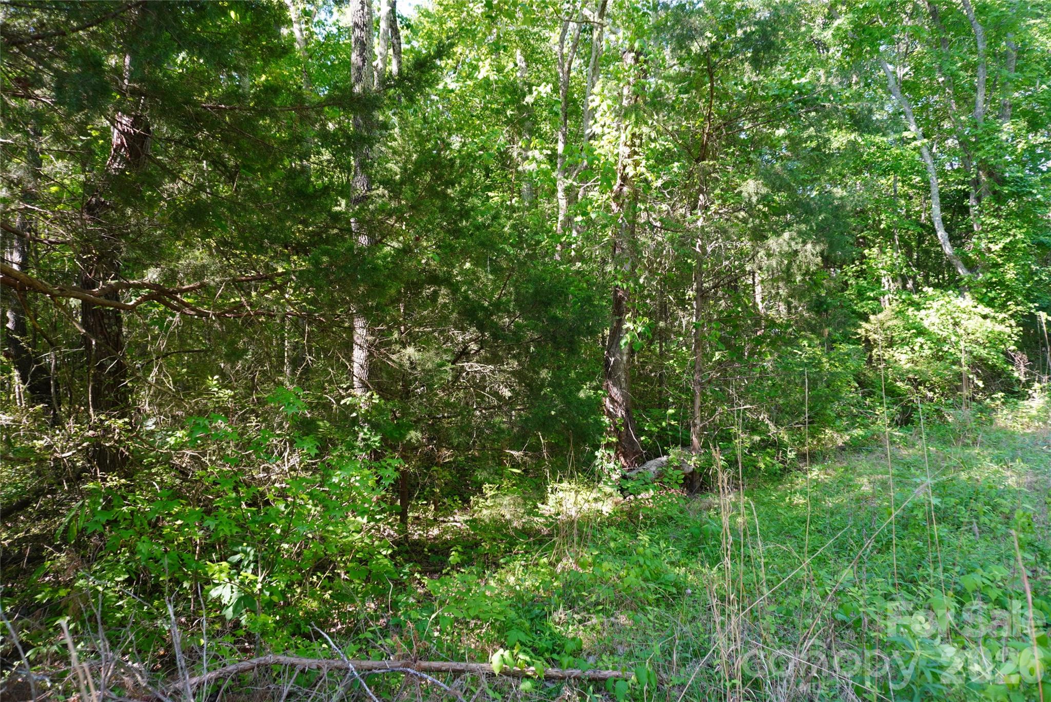 Lot at 11928 Brief Road, Charlotte, photo 4 of 7