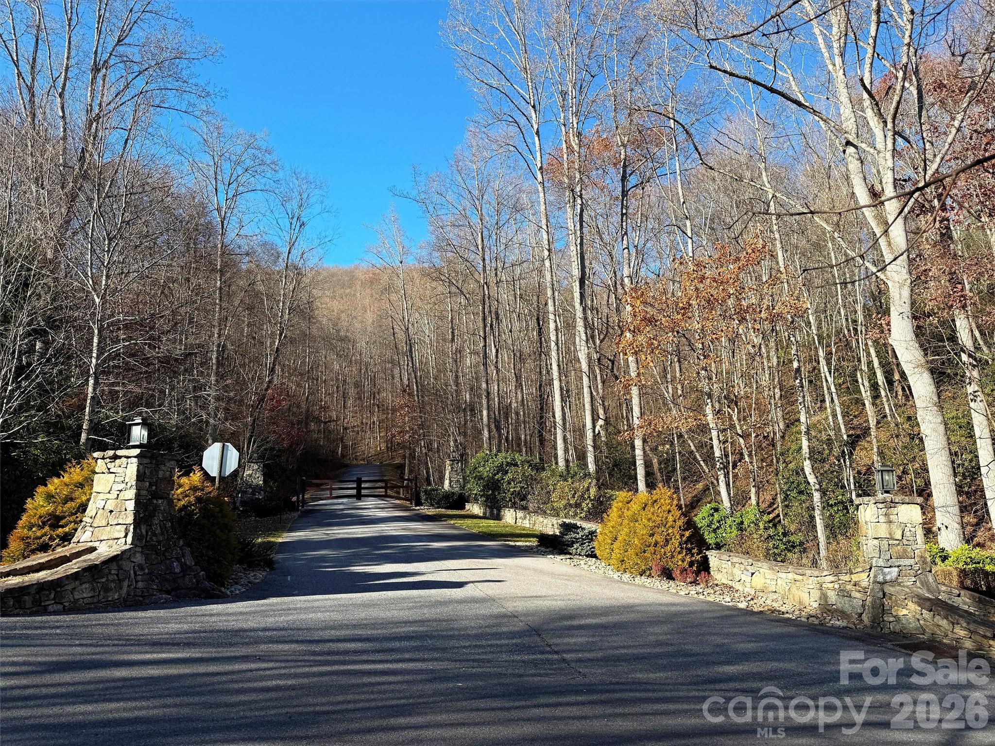 Lot at 00 Mountain Watch Drive, Maggie Valley, photo 6 of 25