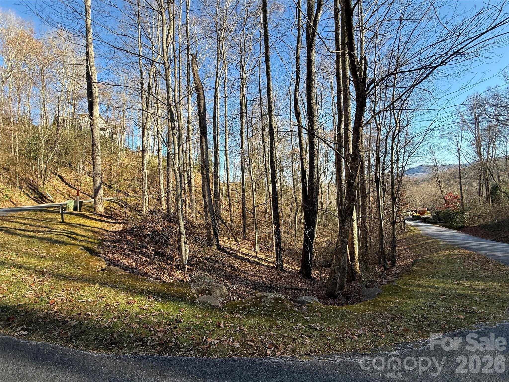 Lot at 00 Mountain Watch Drive, Maggie Valley, photo 9 of 25