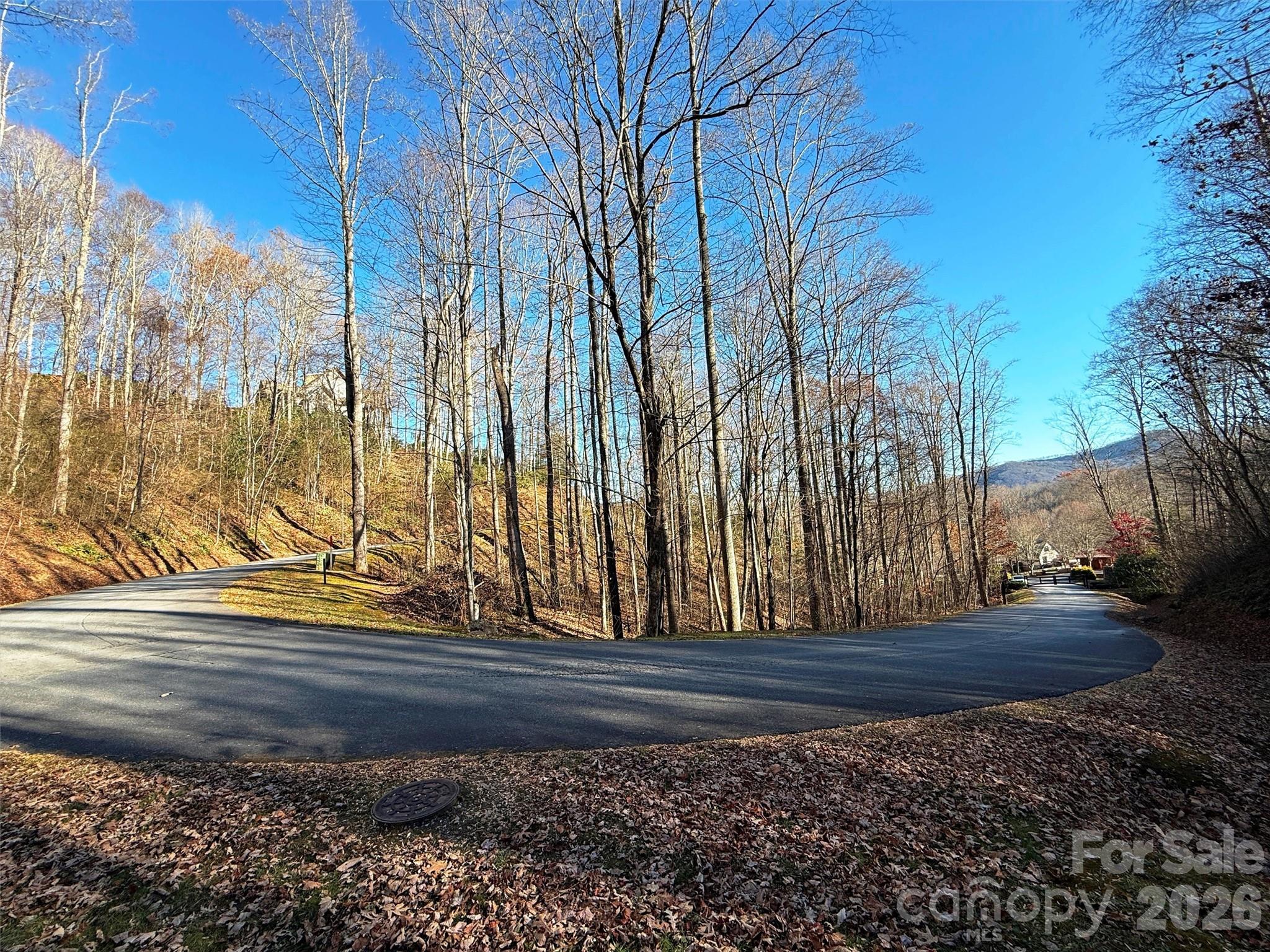 Lot at 00 Mountain Watch Drive, Maggie Valley, photo 10 of 25