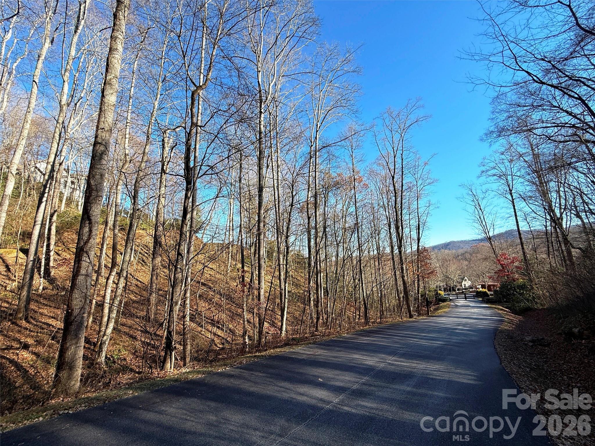 Lot at 00 Mountain Watch Drive, Maggie Valley, photo 13 of 25